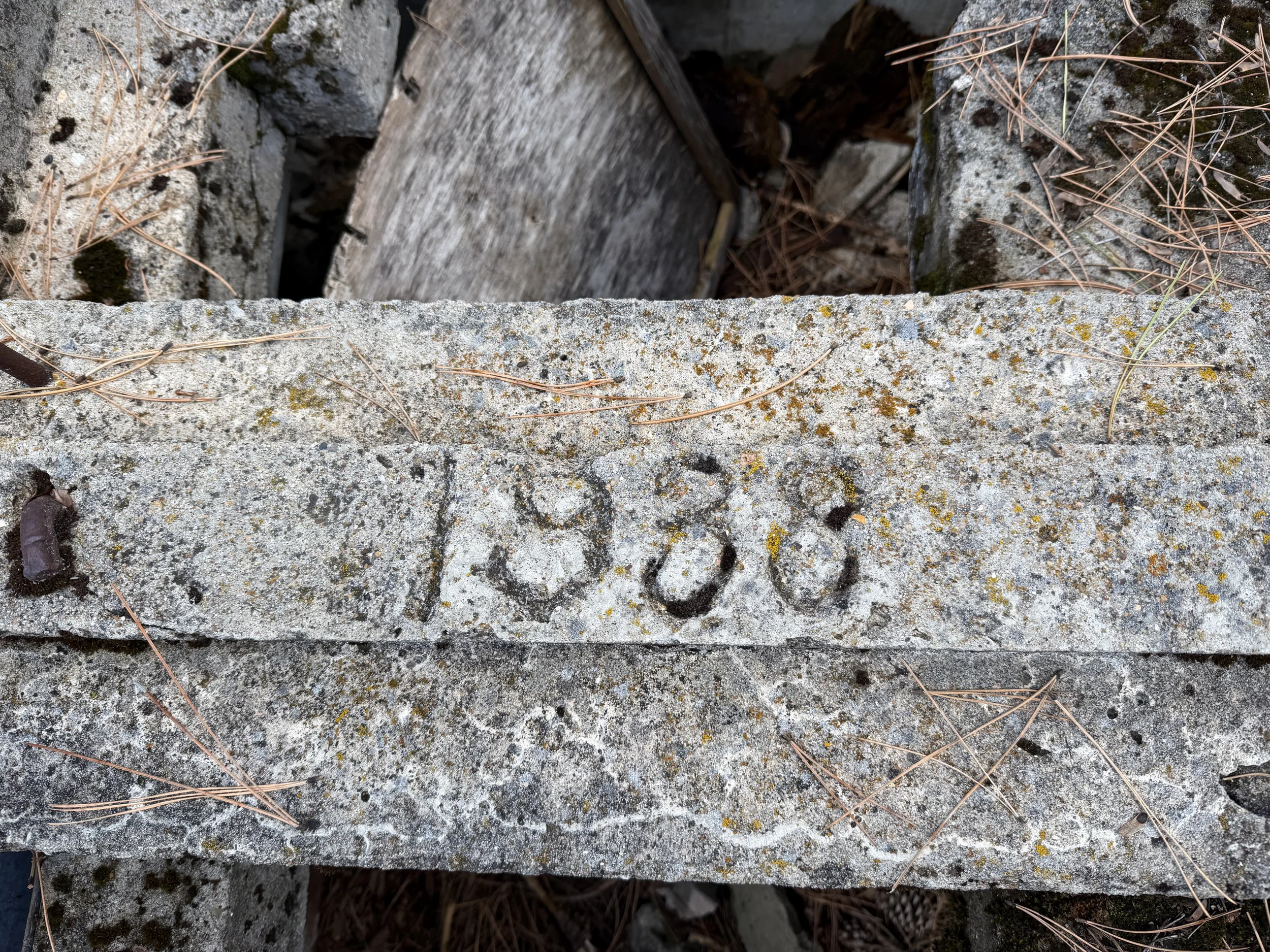 Stratosphere Bowl Trail Black Hills South Dakota