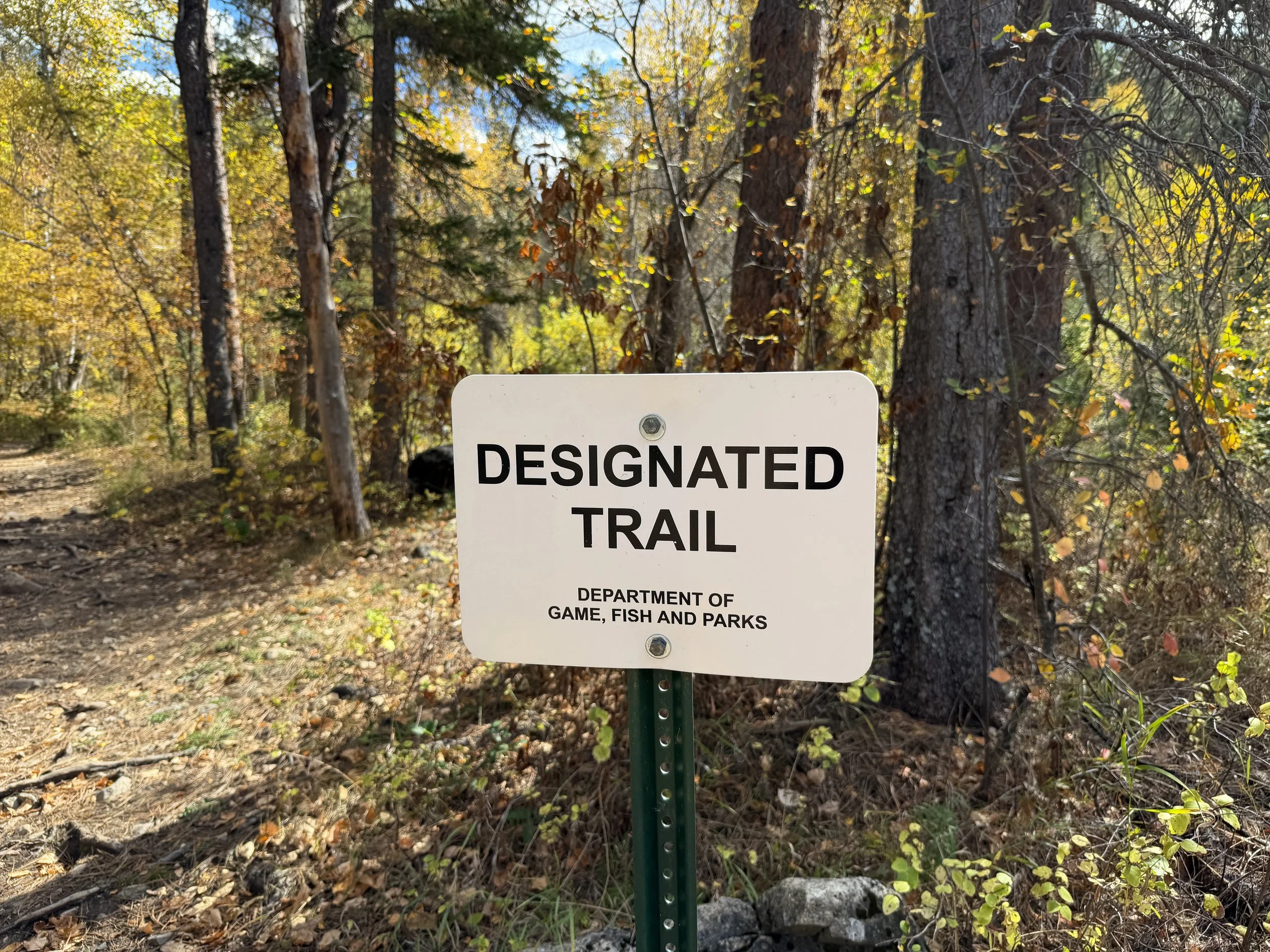 Devils Bathtub Trail Spearfish Canyon Black Hills South Dakota