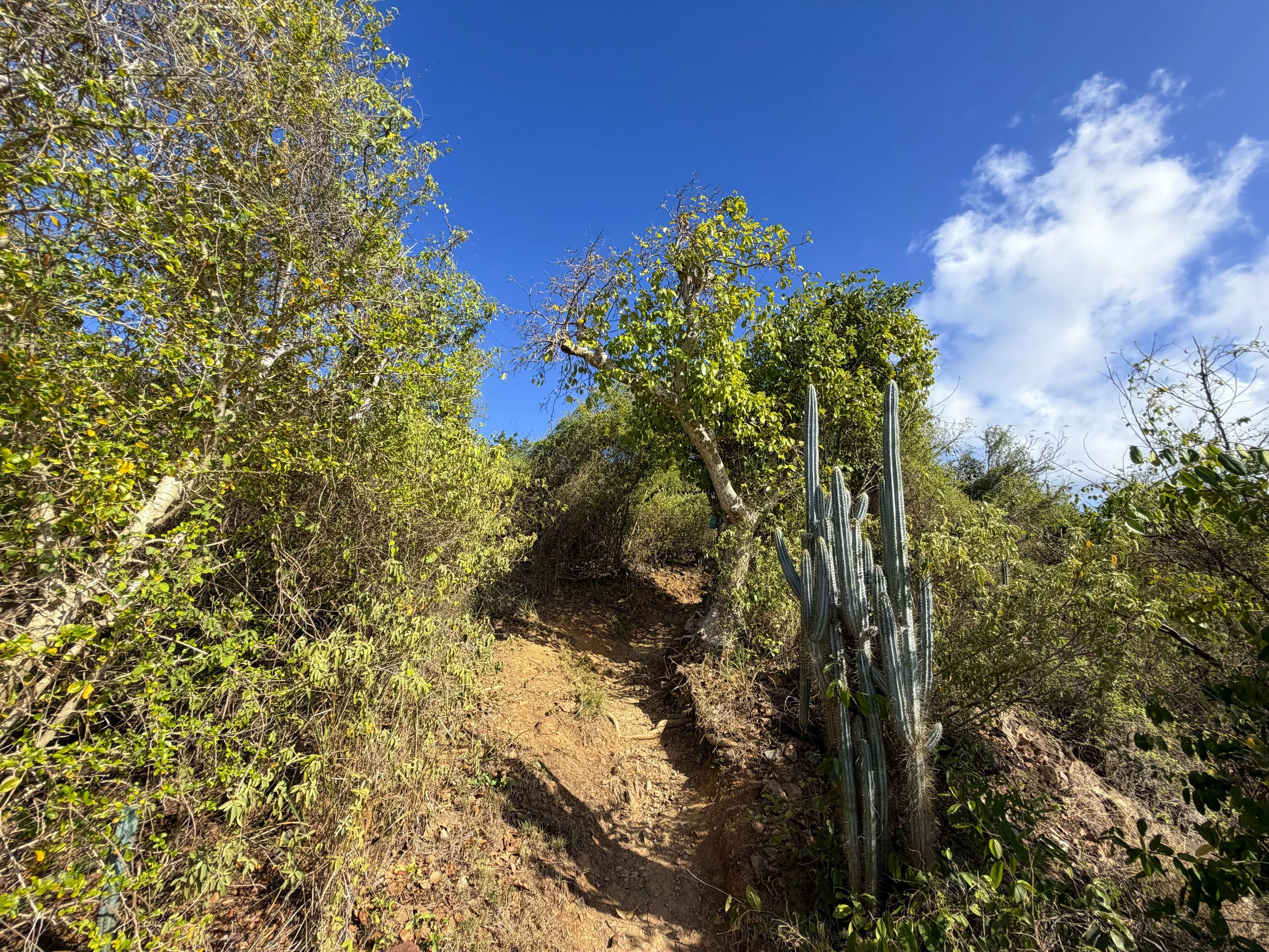 Ram Head Hike Virgin Islands National Park