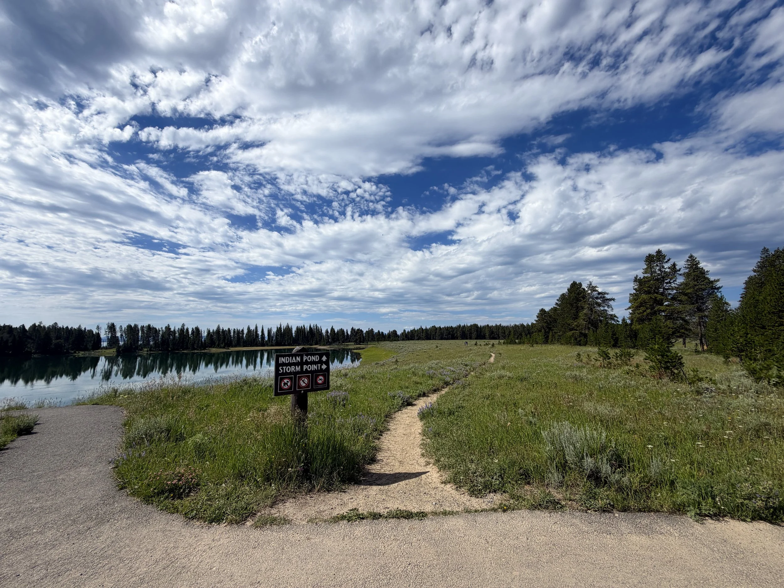 Storm Point Trailhead Yellowstone National Park Wyoming