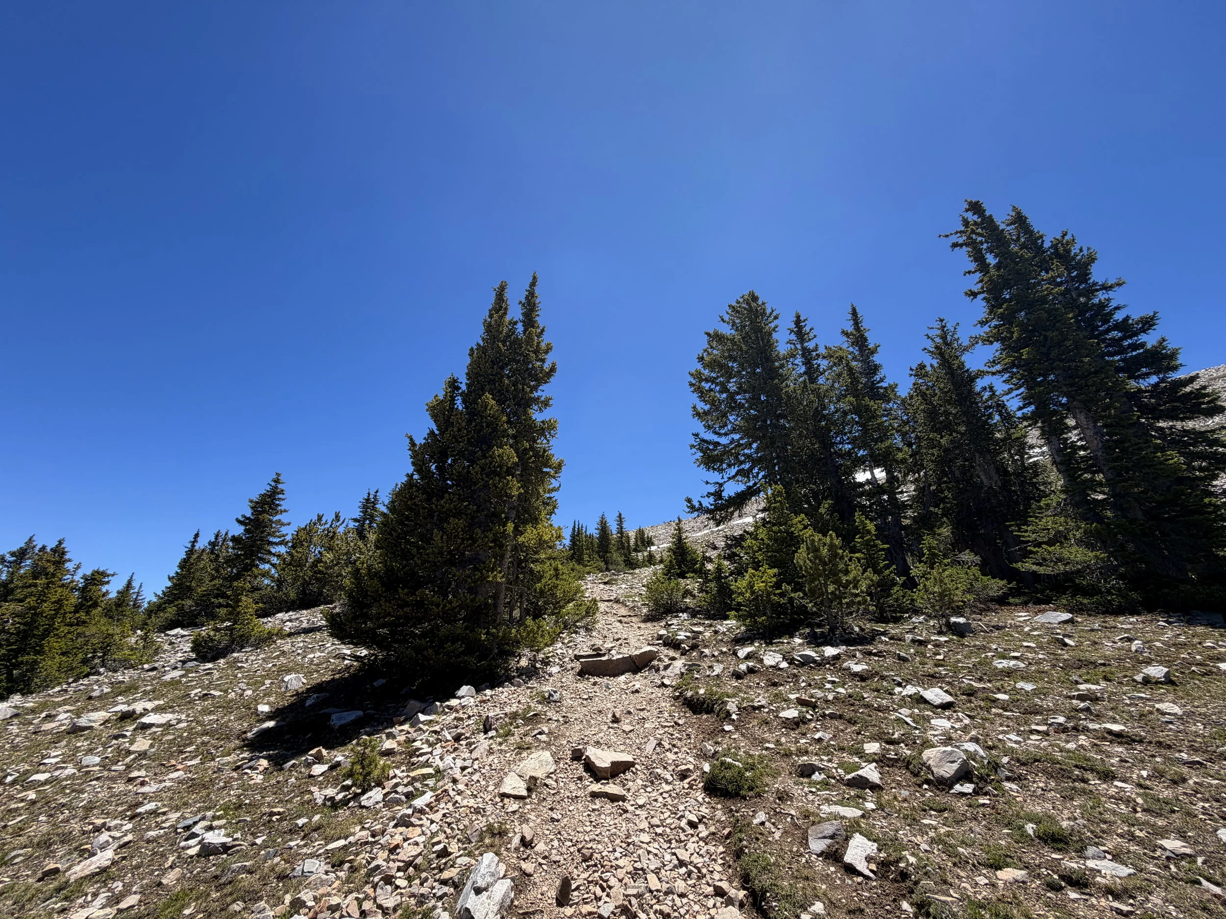 Wheeler Peak Summit Trail Great Basin National Park Nevada