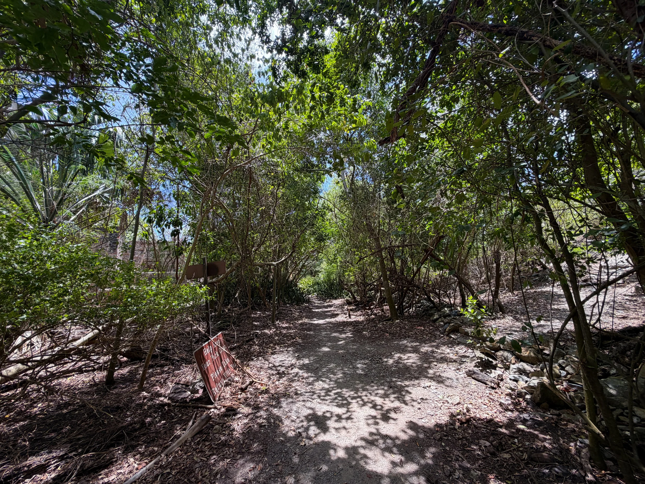 Reef Bay Trail L'Esperance Split Virgin Islands National Park