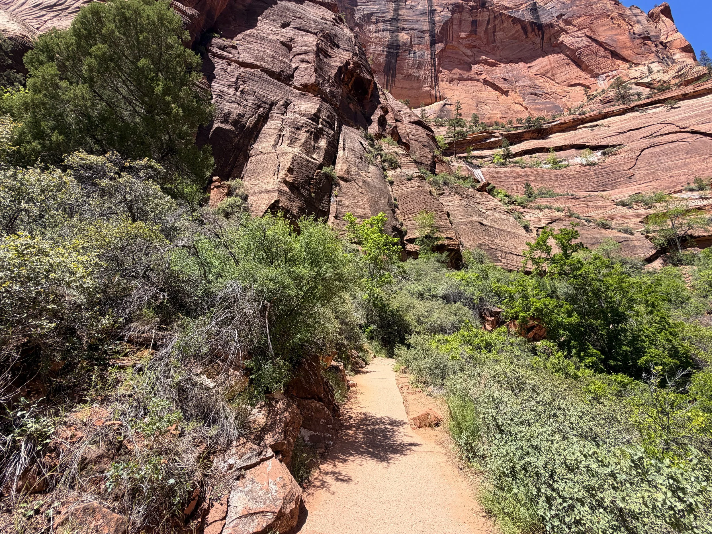 Angels Landing Trail Zion National Park Utah