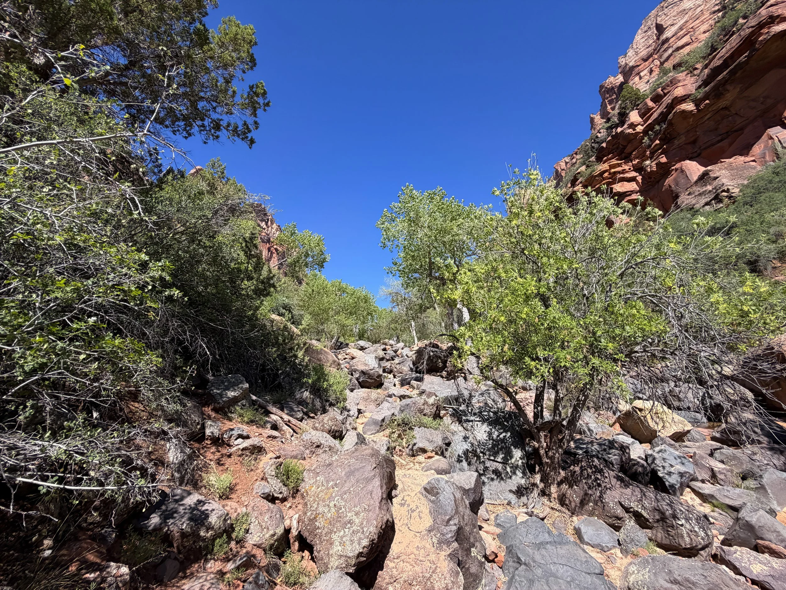 Subway Trail via Left Fork Trailhead Zion National Park Utah