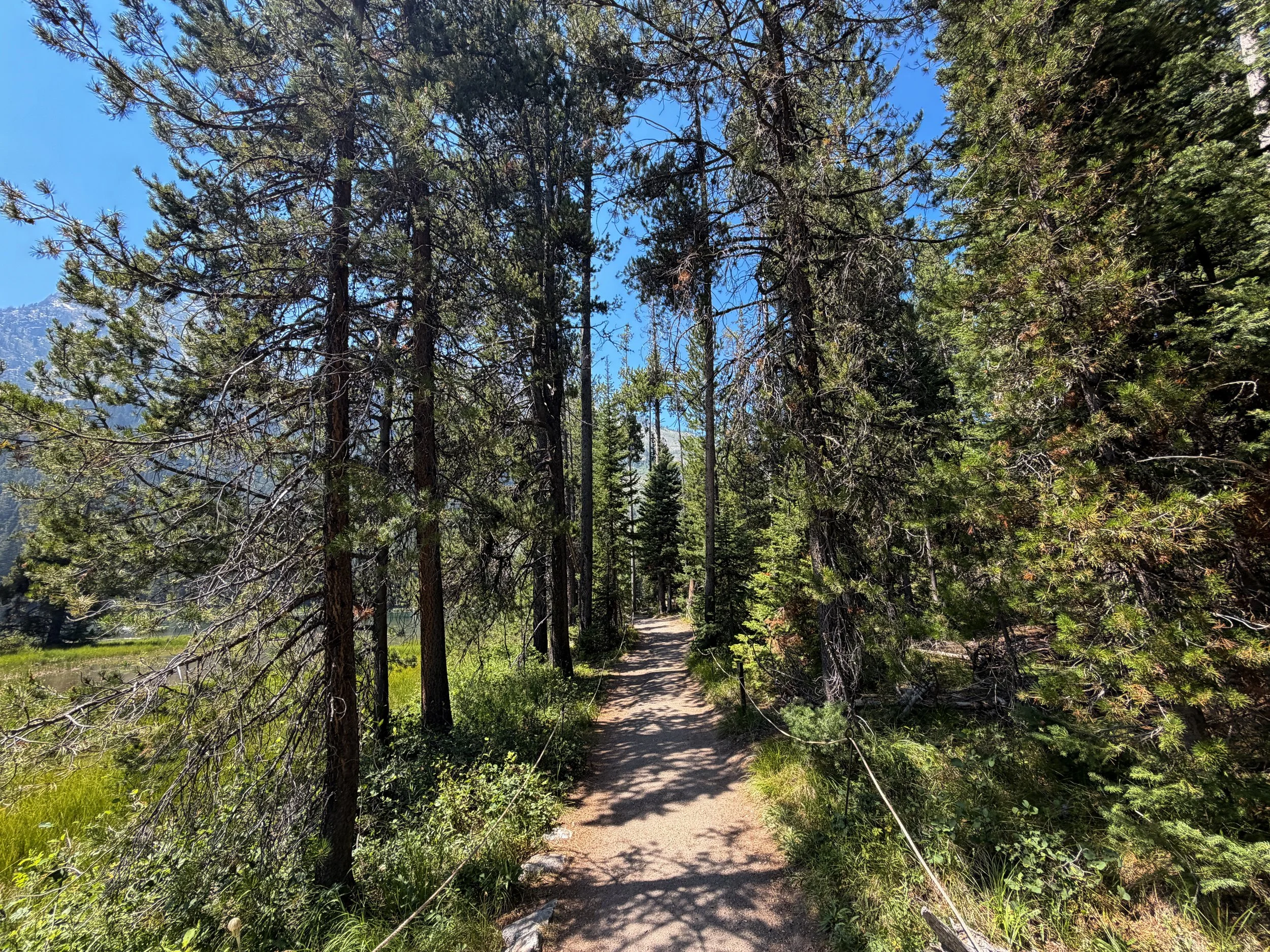 String Lake Loop Trail Grand Teton National Park Wyoming