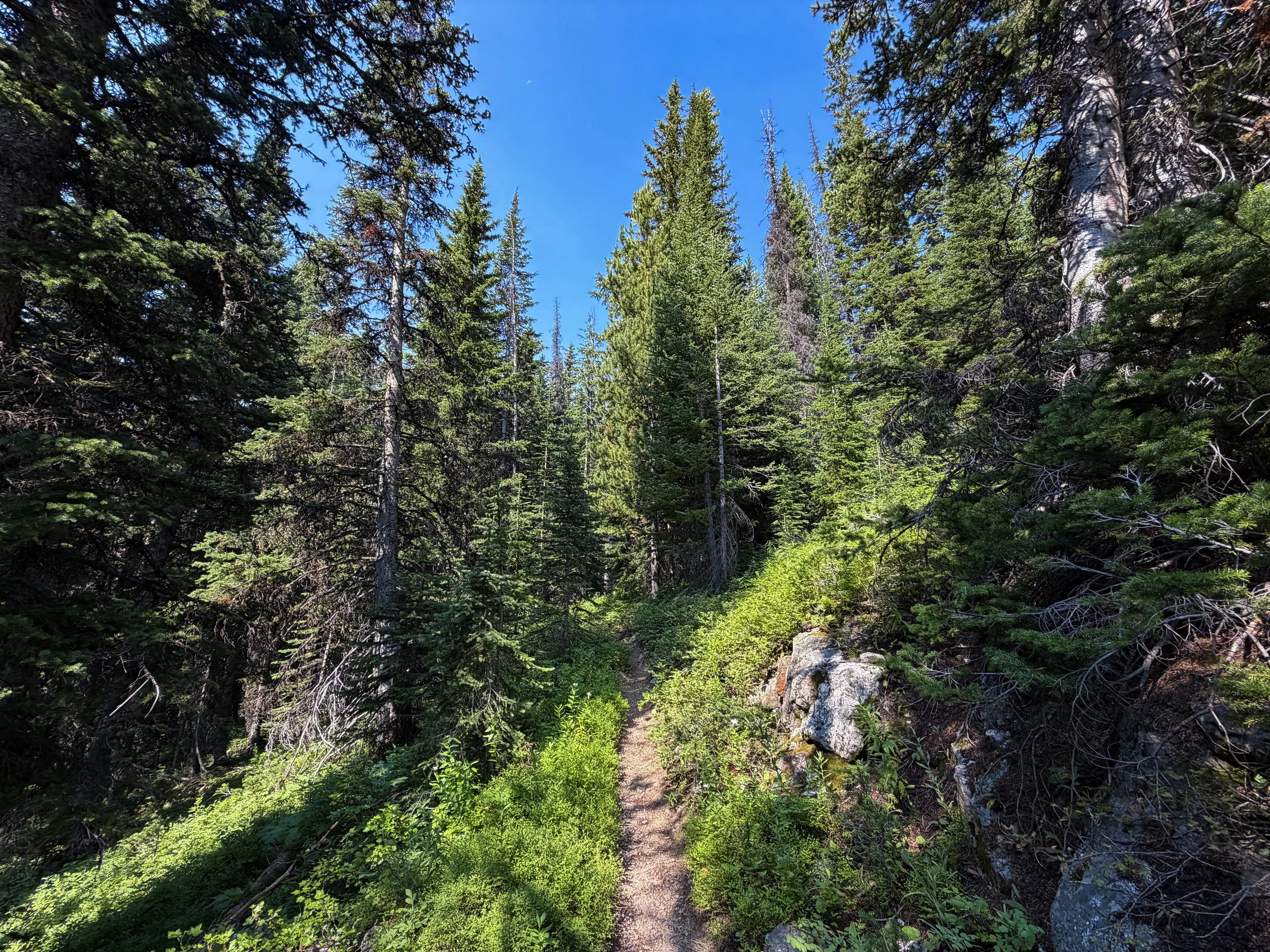 East Rosebud Trail The Beaten Path Beartooth Mountains Montana