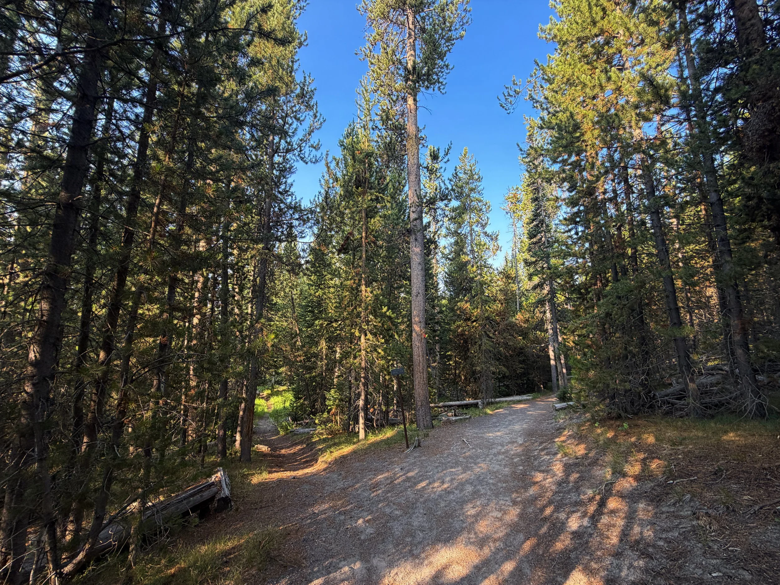 Mystic Falls Loop Trail Yellowstone National Park Wyoming