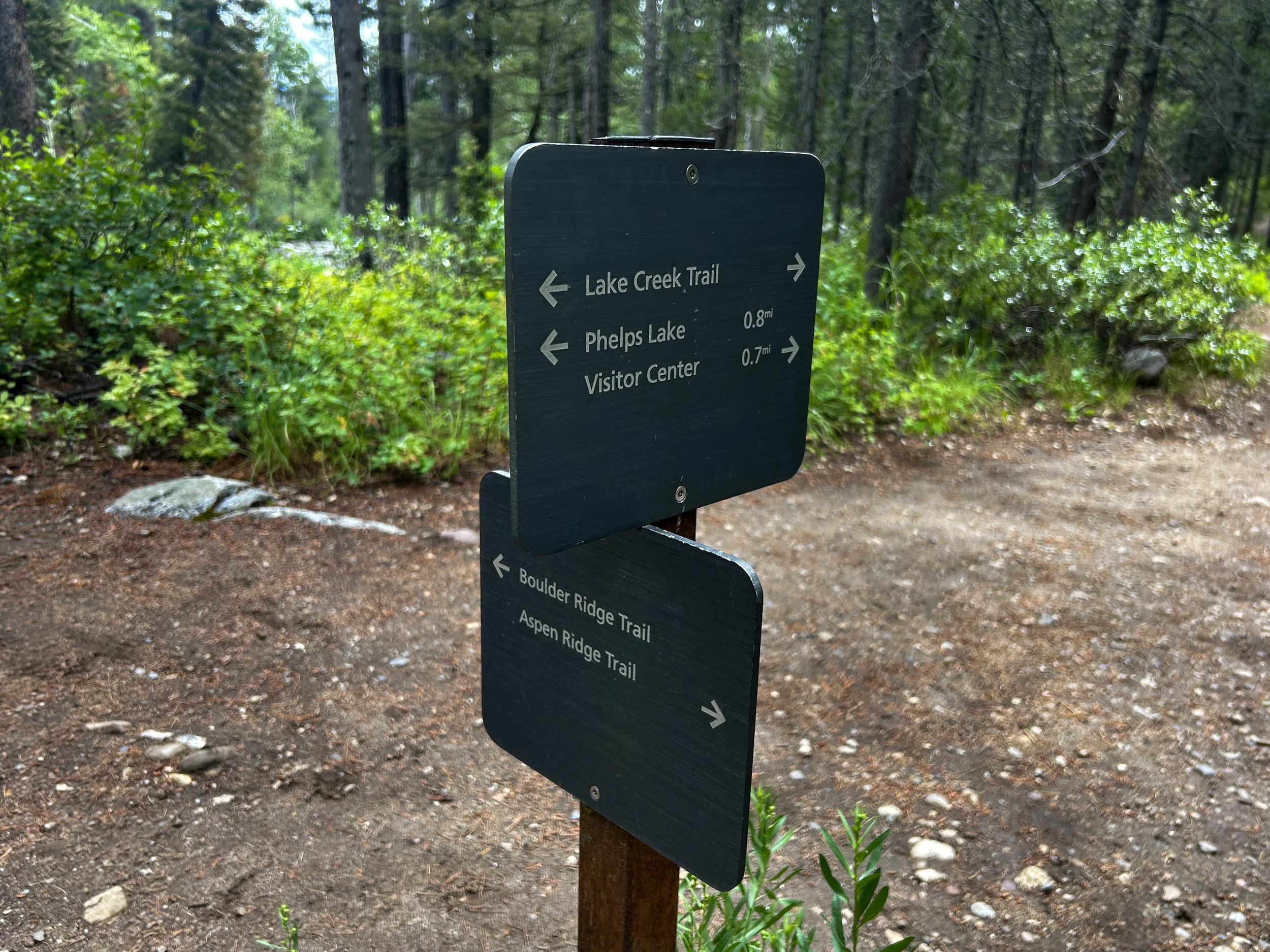 Aspen–Boulder Ridge Loop Trail Grand Teton National Park Wyoming