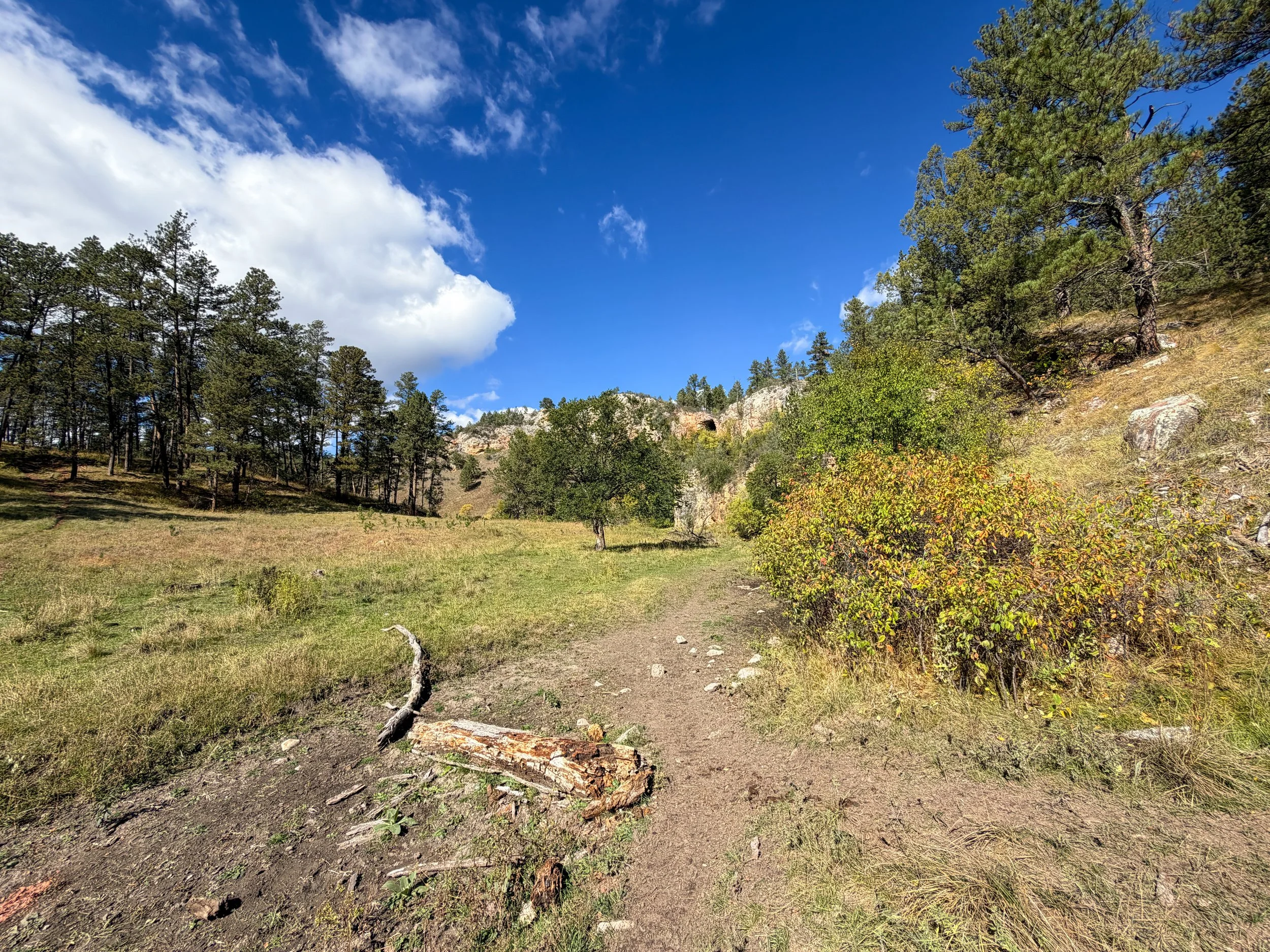 Lookout Point Loop Trail Wind Cave National Park South Dakota