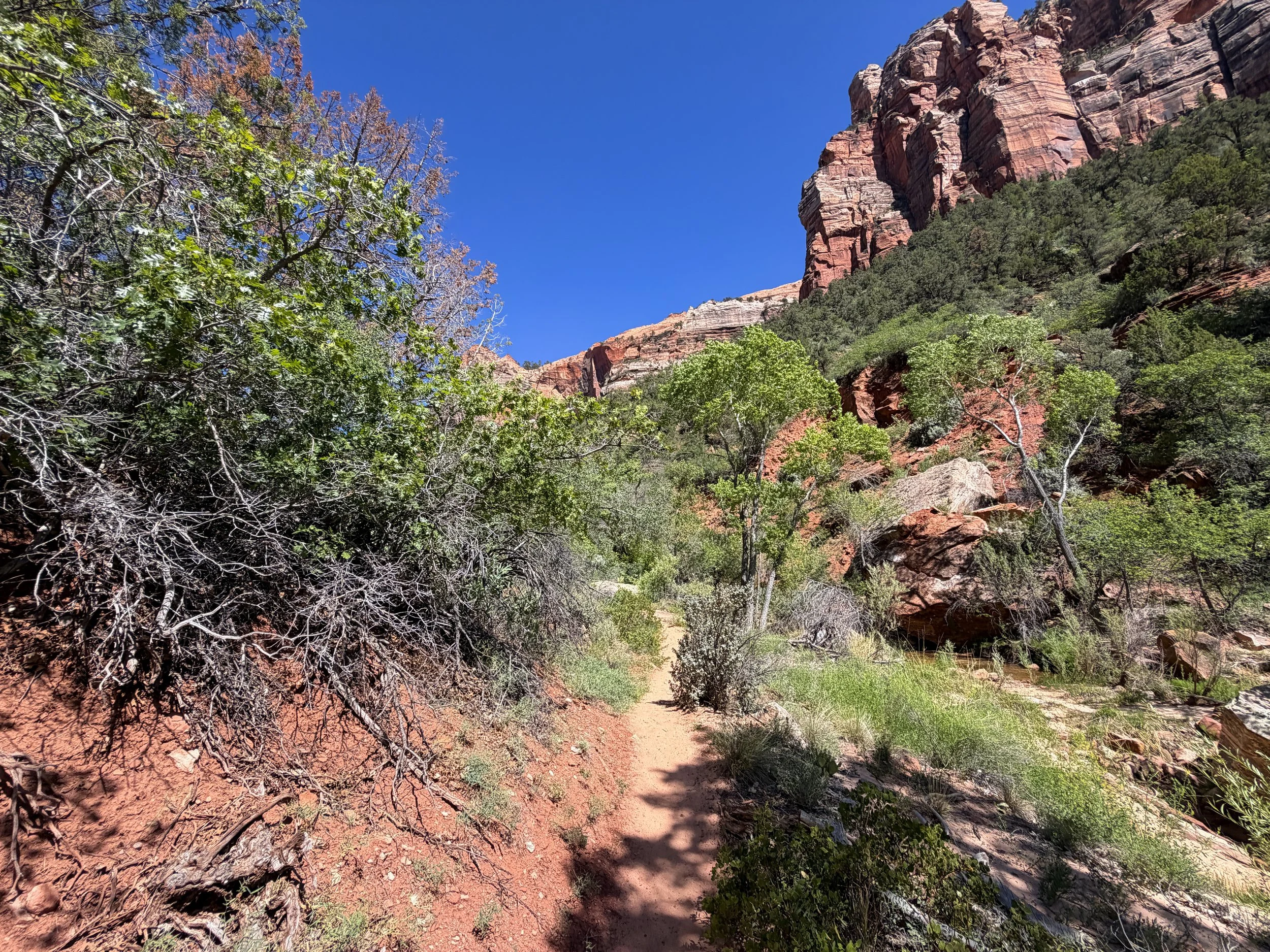 Subway Trail via Left Fork of the North Creek Zion National Park Utah