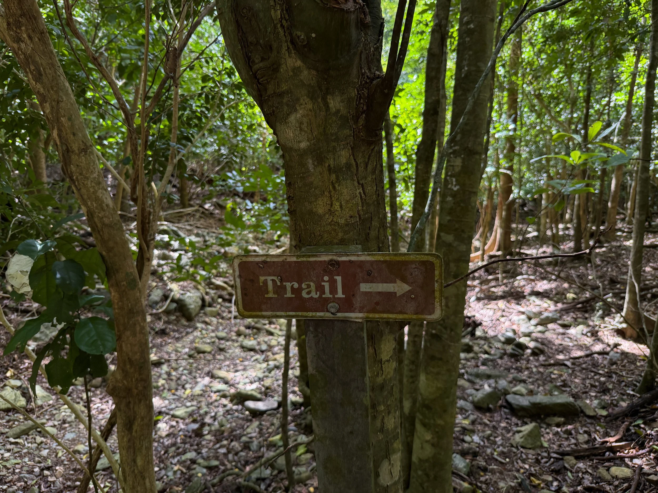 Reef Bay Trail Virgin Islands National Park