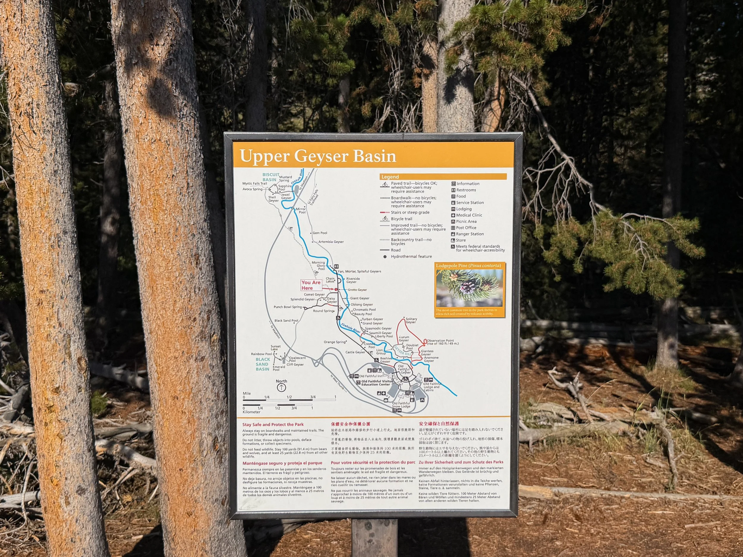 Upper Geyser Basin Trail Yellowstone National Park Wyoming
