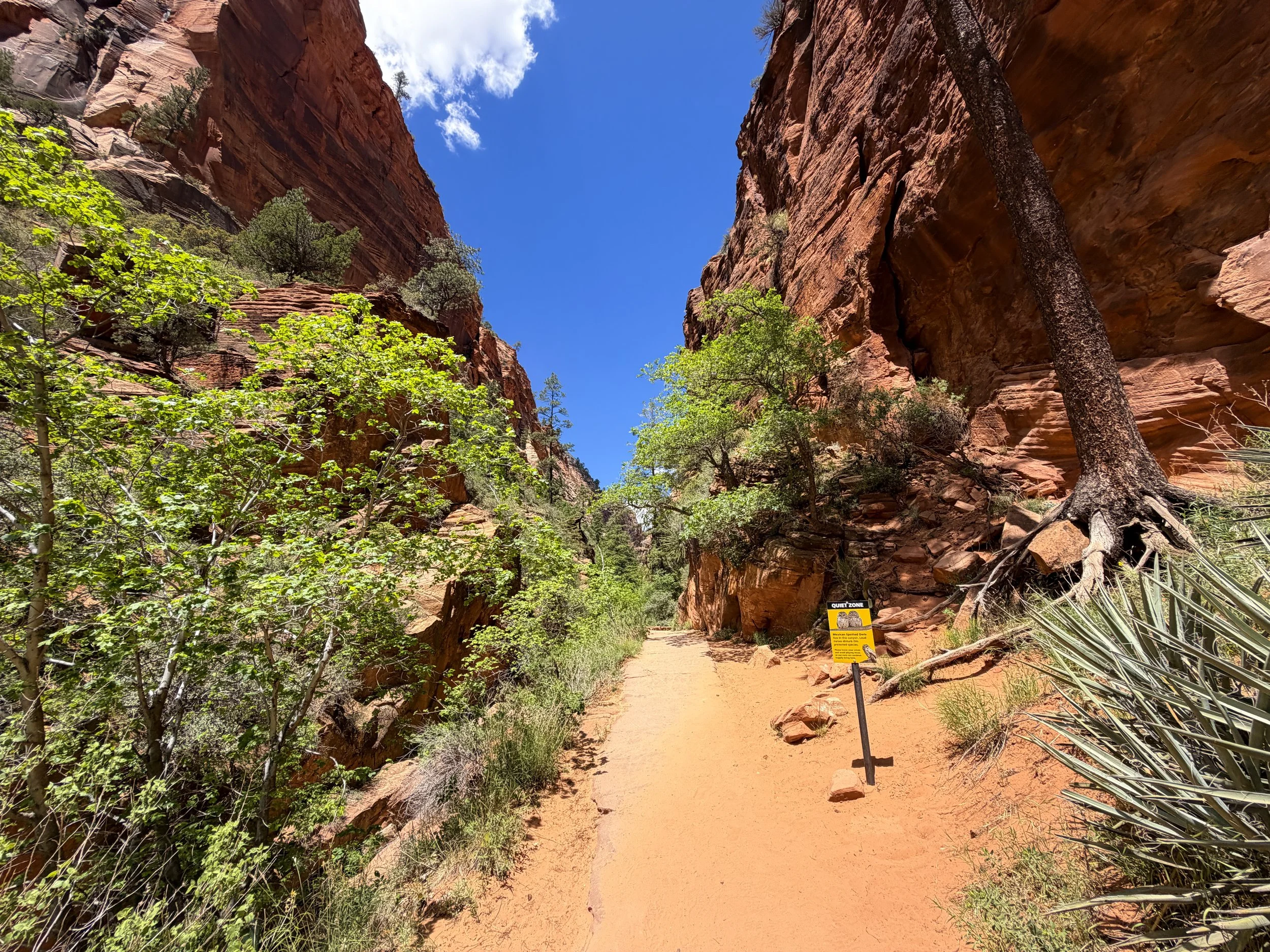 Angels Landing Hike Zion National Park Utah