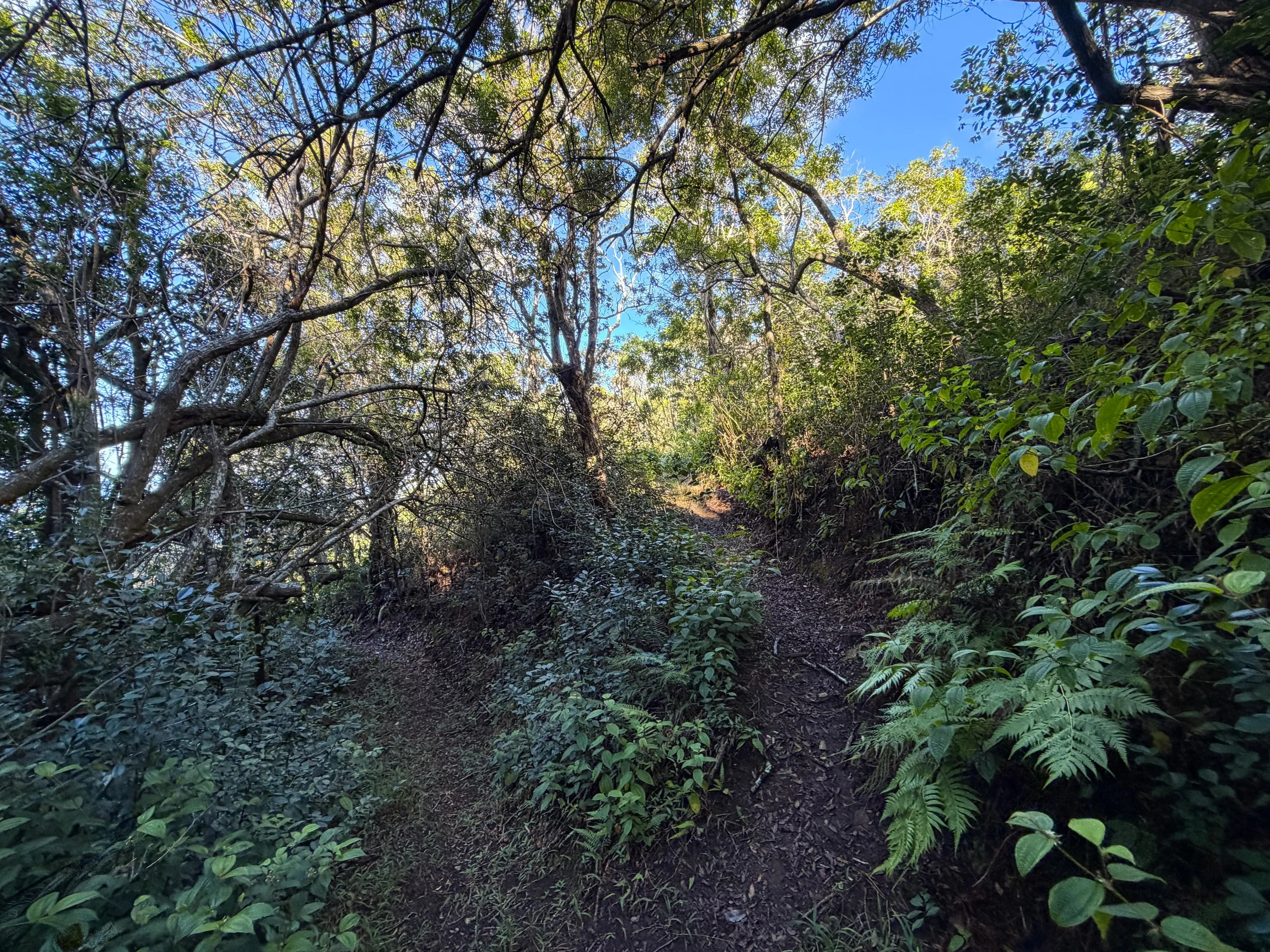 Mokuleia Trail Oahu Hawaii