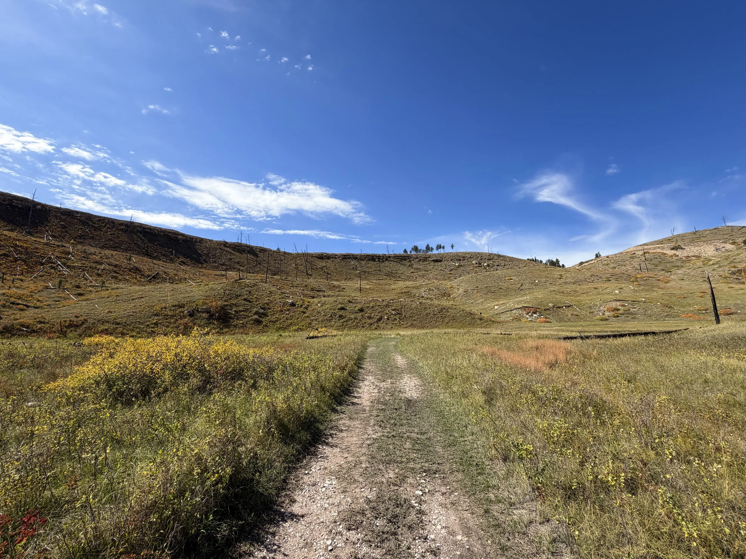 Canyons Loop Hike Jewel Cave National Monument Black Hills South Dakota