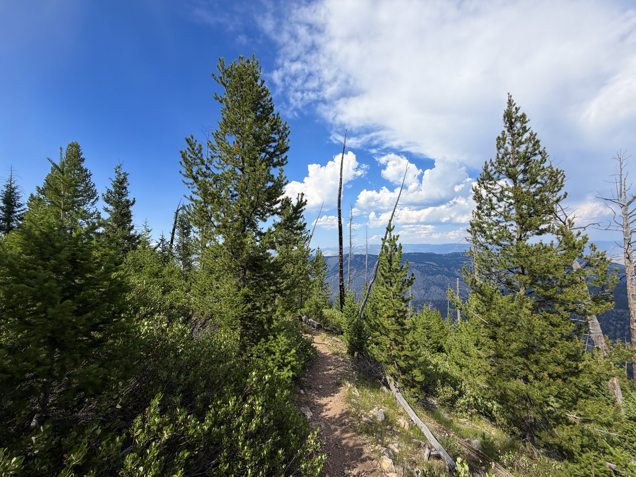 Bunsen Peak Hike Yellowstone National Park Wyoming