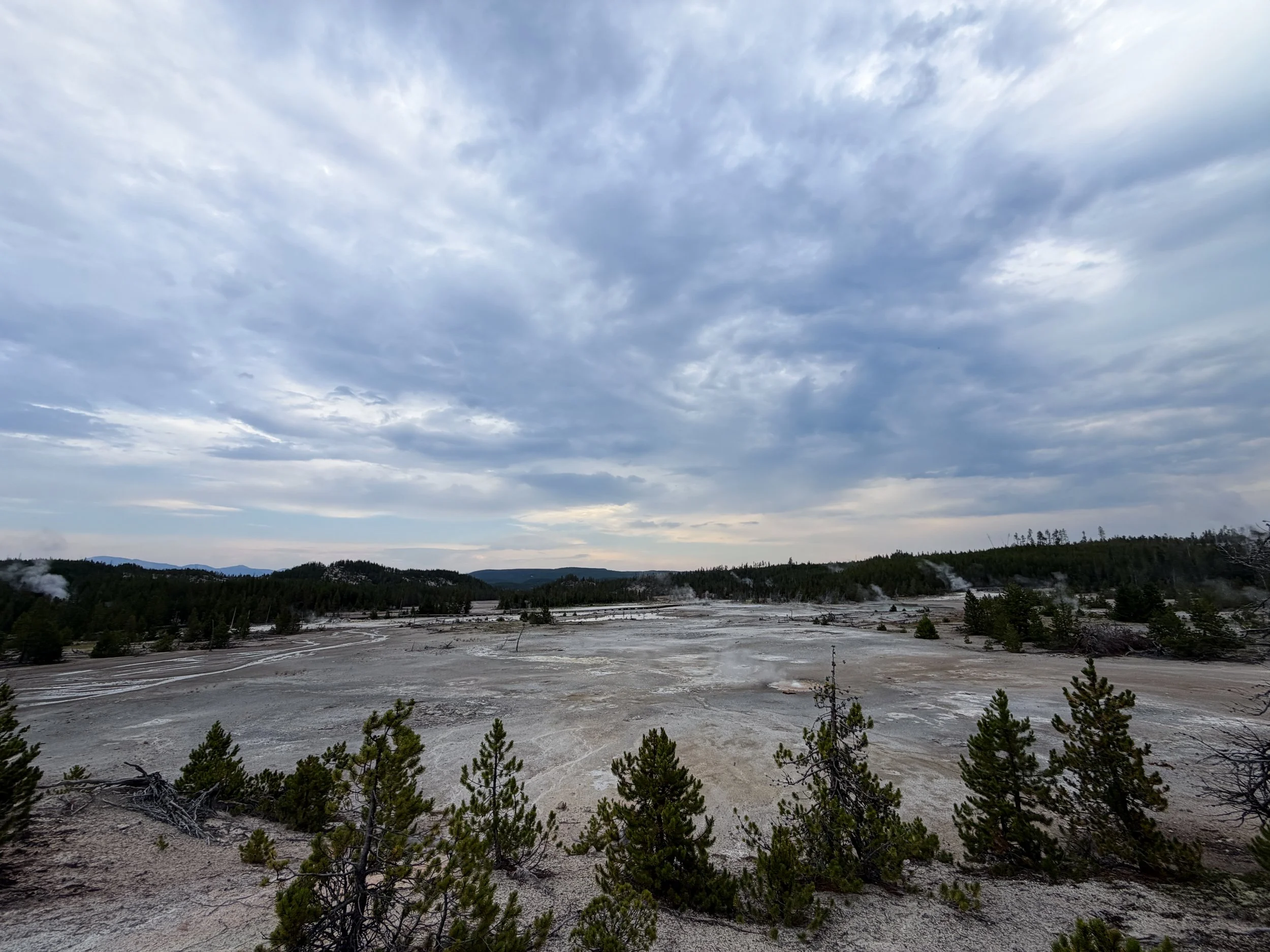 Orby Geyser Norris Geyser Basin Trail Yellowstone National Park Wyoming