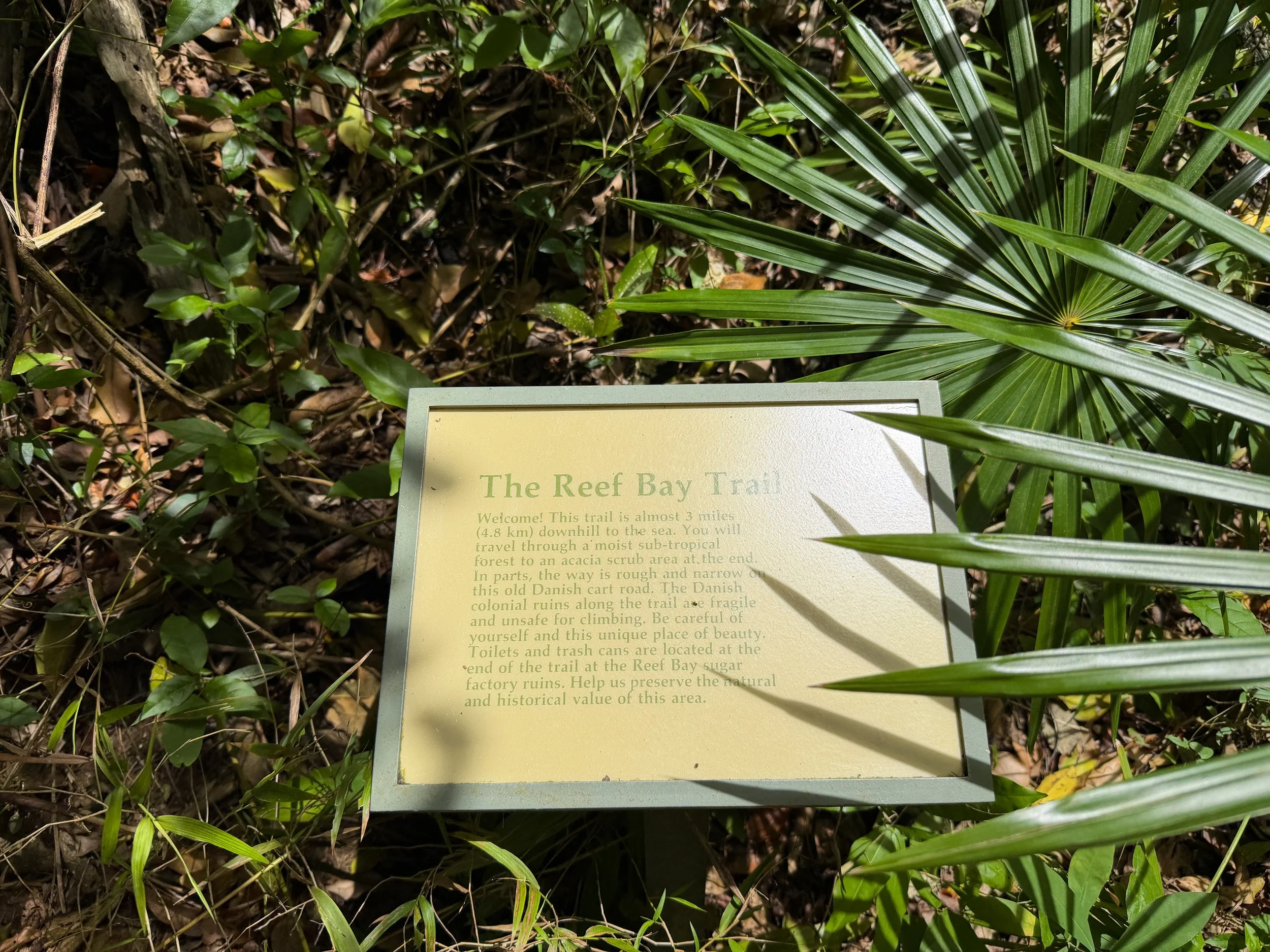 Reef Bay Trail Virgin Islands National Park