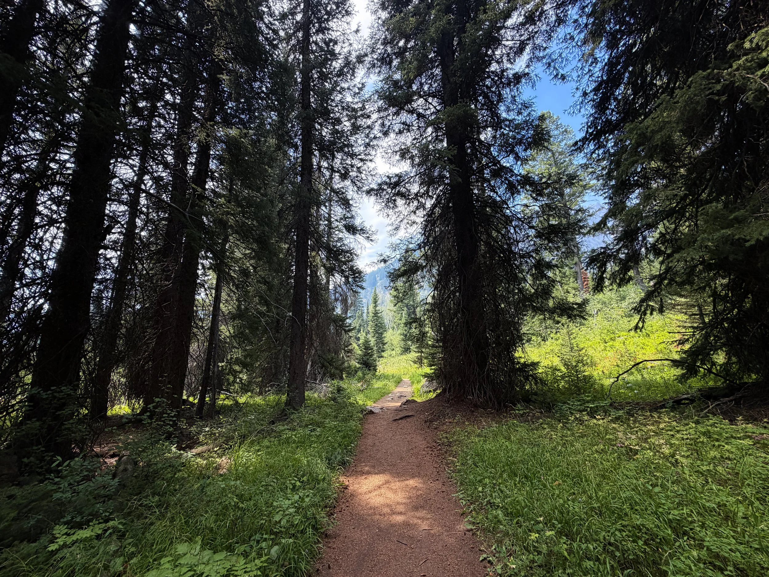 Phelps Lake Loop Trail Grand Teton National Park Wyoming