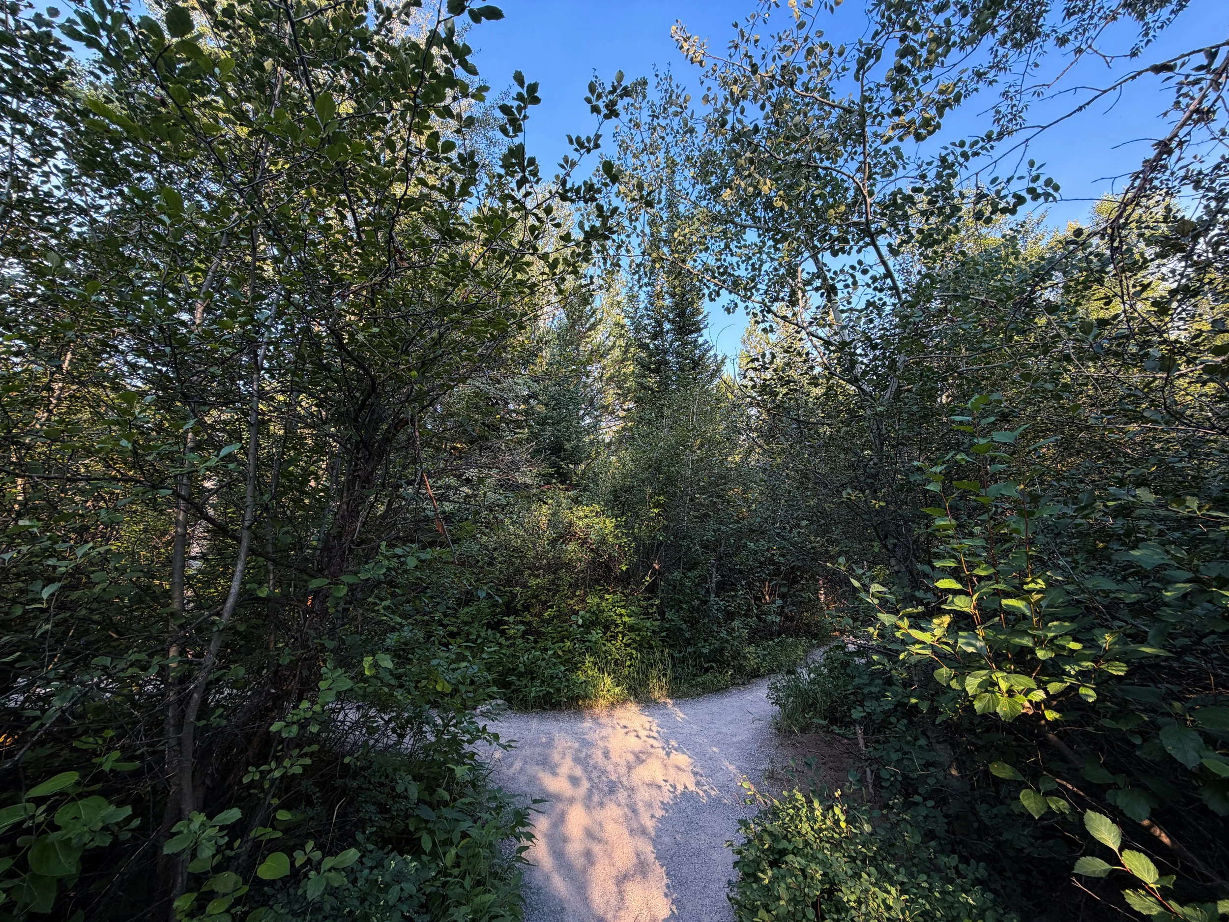 Boulder Ridge Trail Grand Teton National Park Wyoming