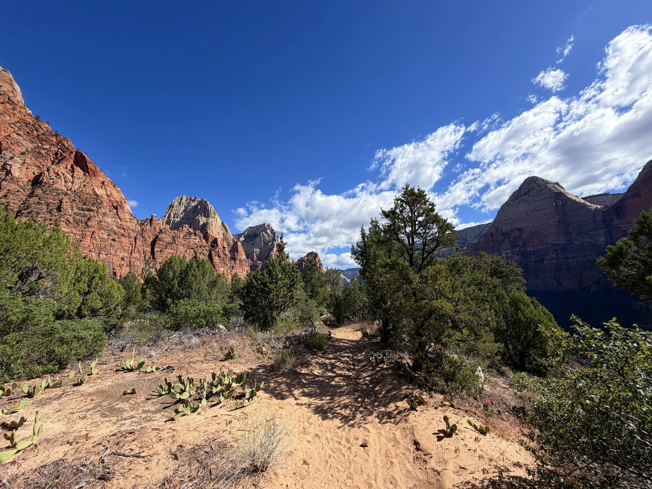 Sand Bench Trail Zion National Park Utah