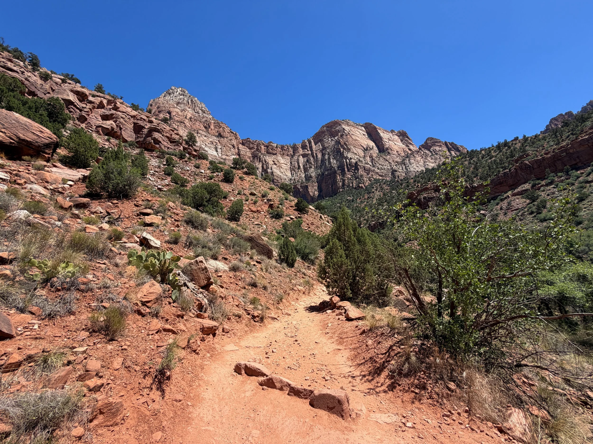 Watchman Hike Zion National Park Utah