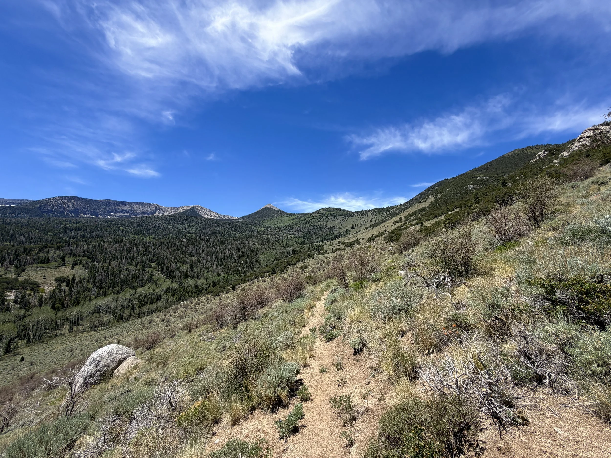 Serviceberry Loop Trail Great Basin National Park Nevada