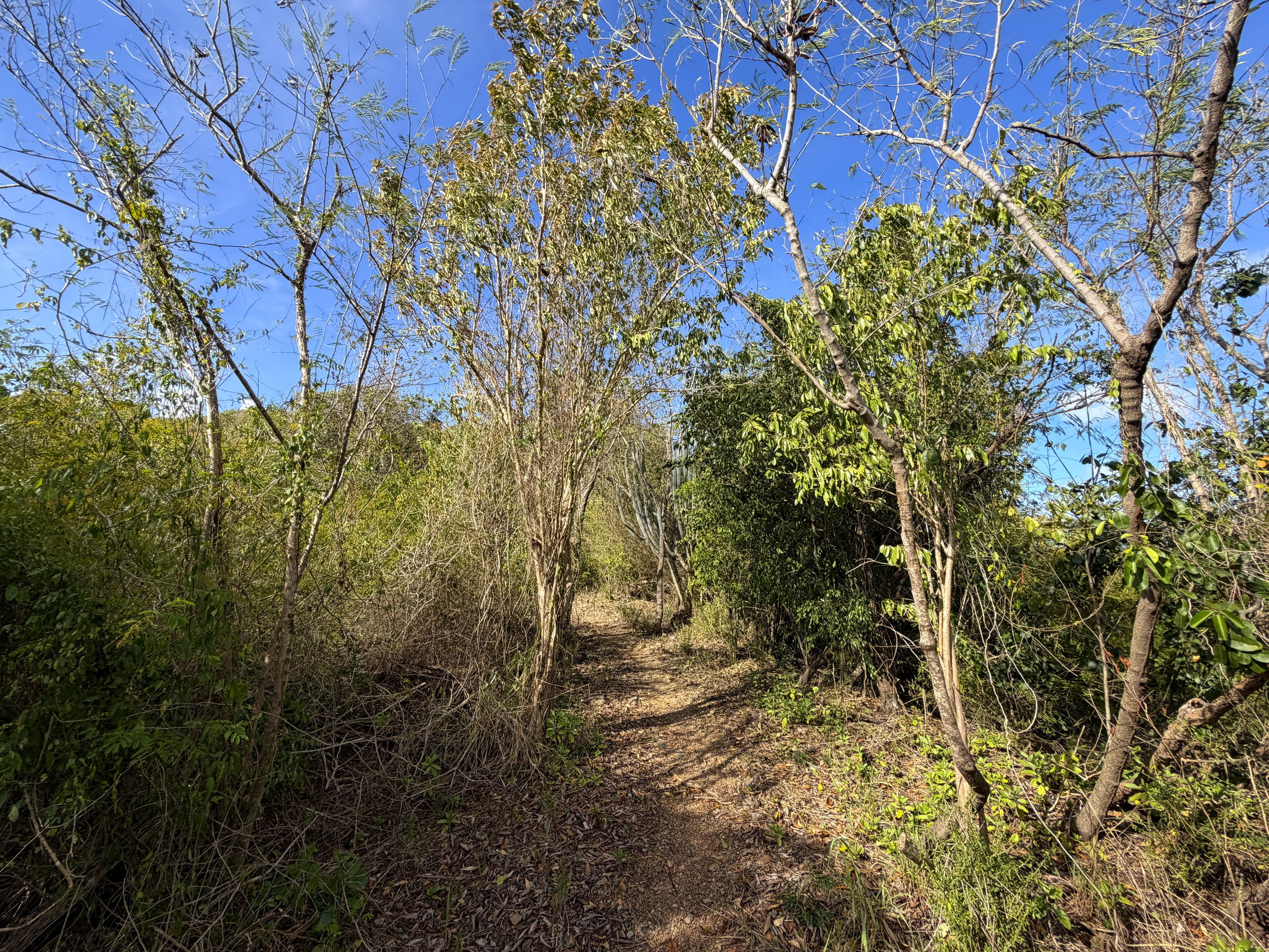 Tektite Trail Virgin Islands National Park