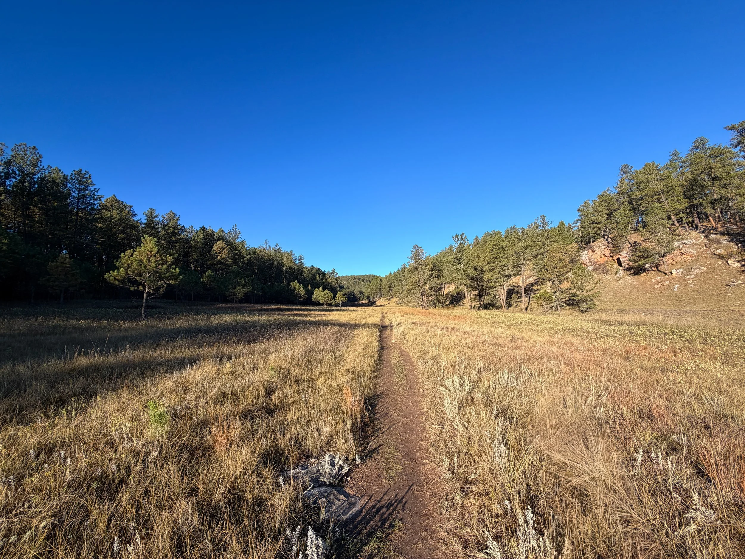 Cold Brook Canyon Hike Wind Cave National Park South Dakota