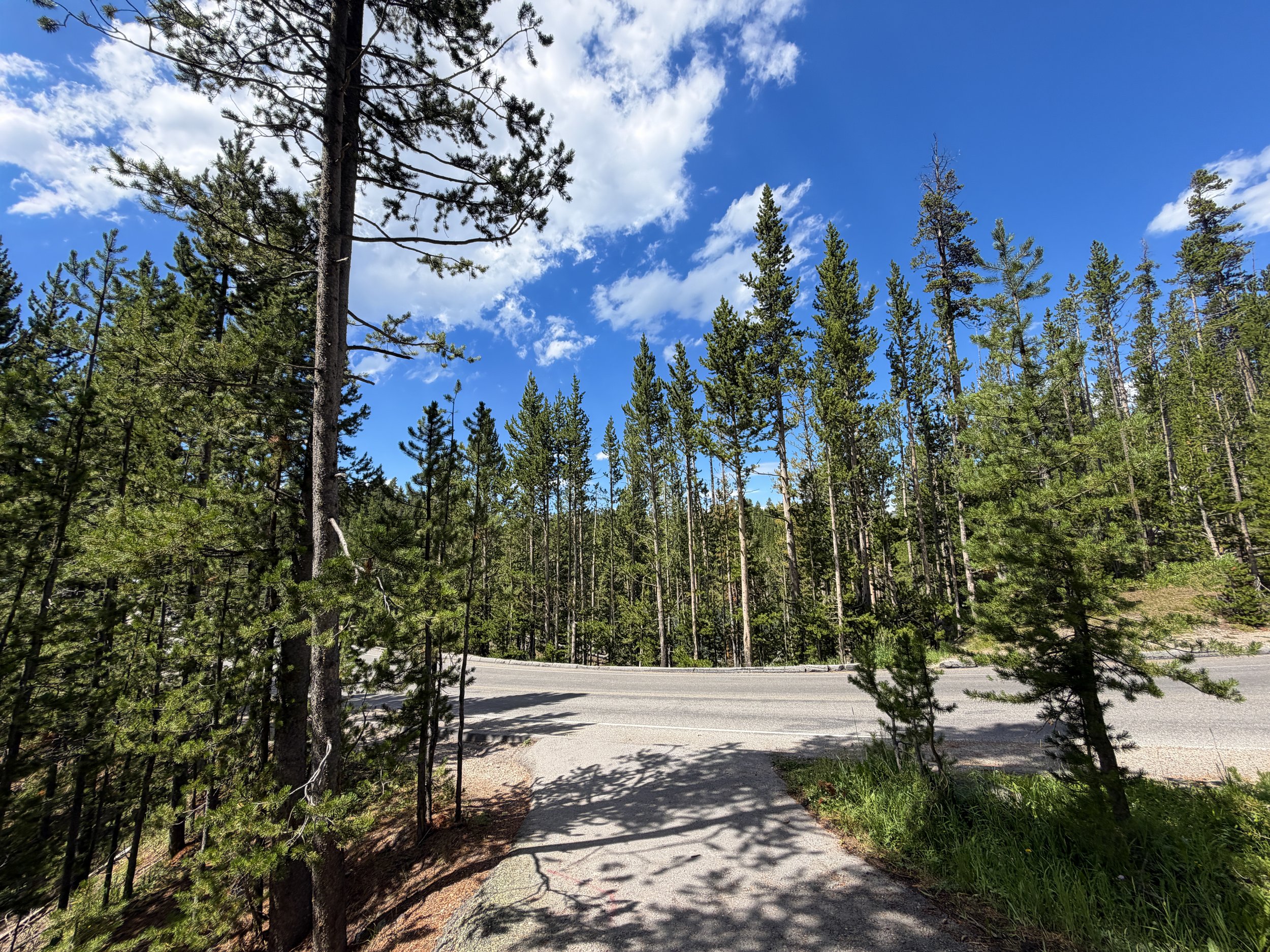 North Rim Trail Yellowstone National Park Wyoming