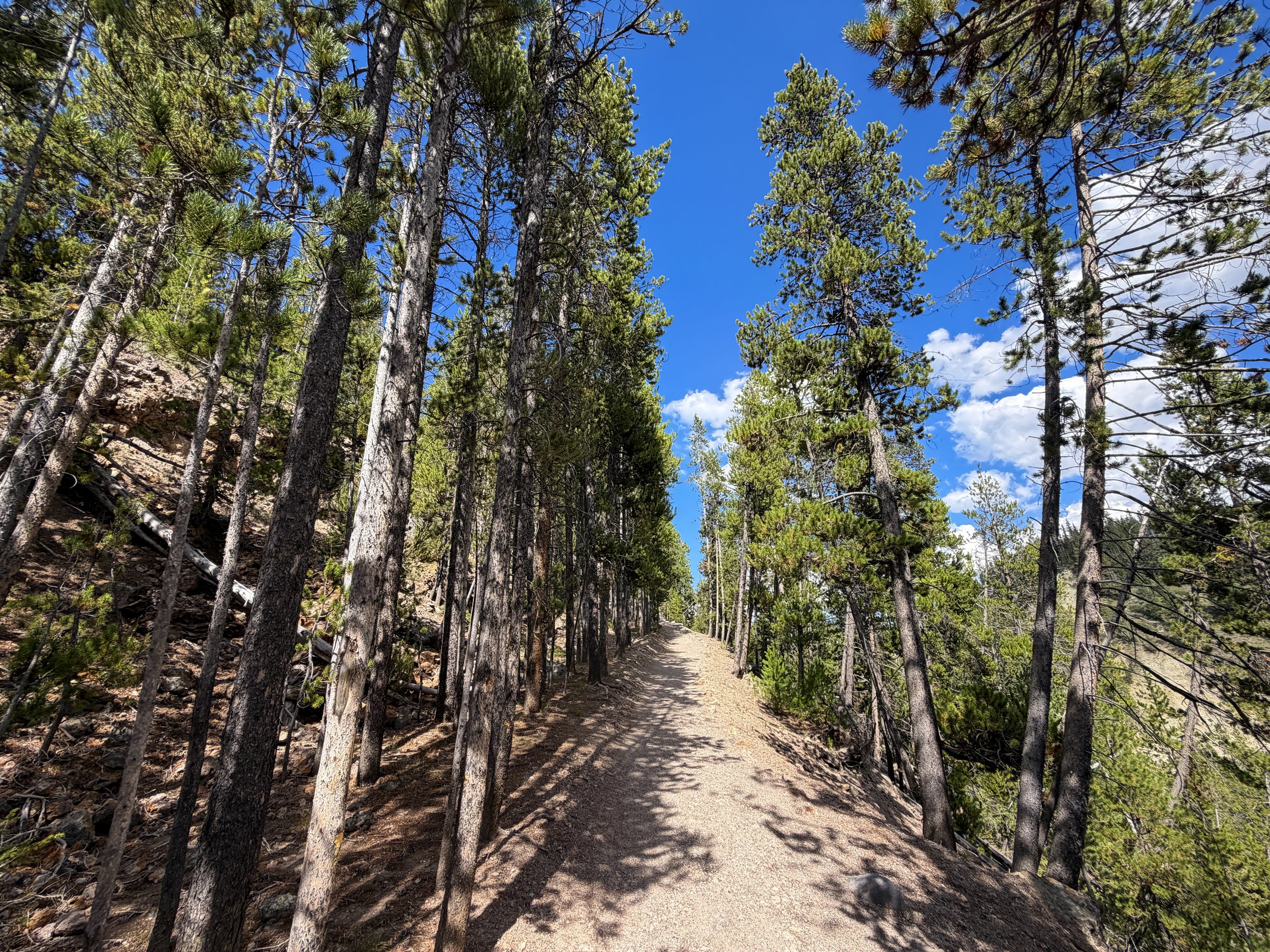 North Rim Trail Yellowstone National Park Wyoming
