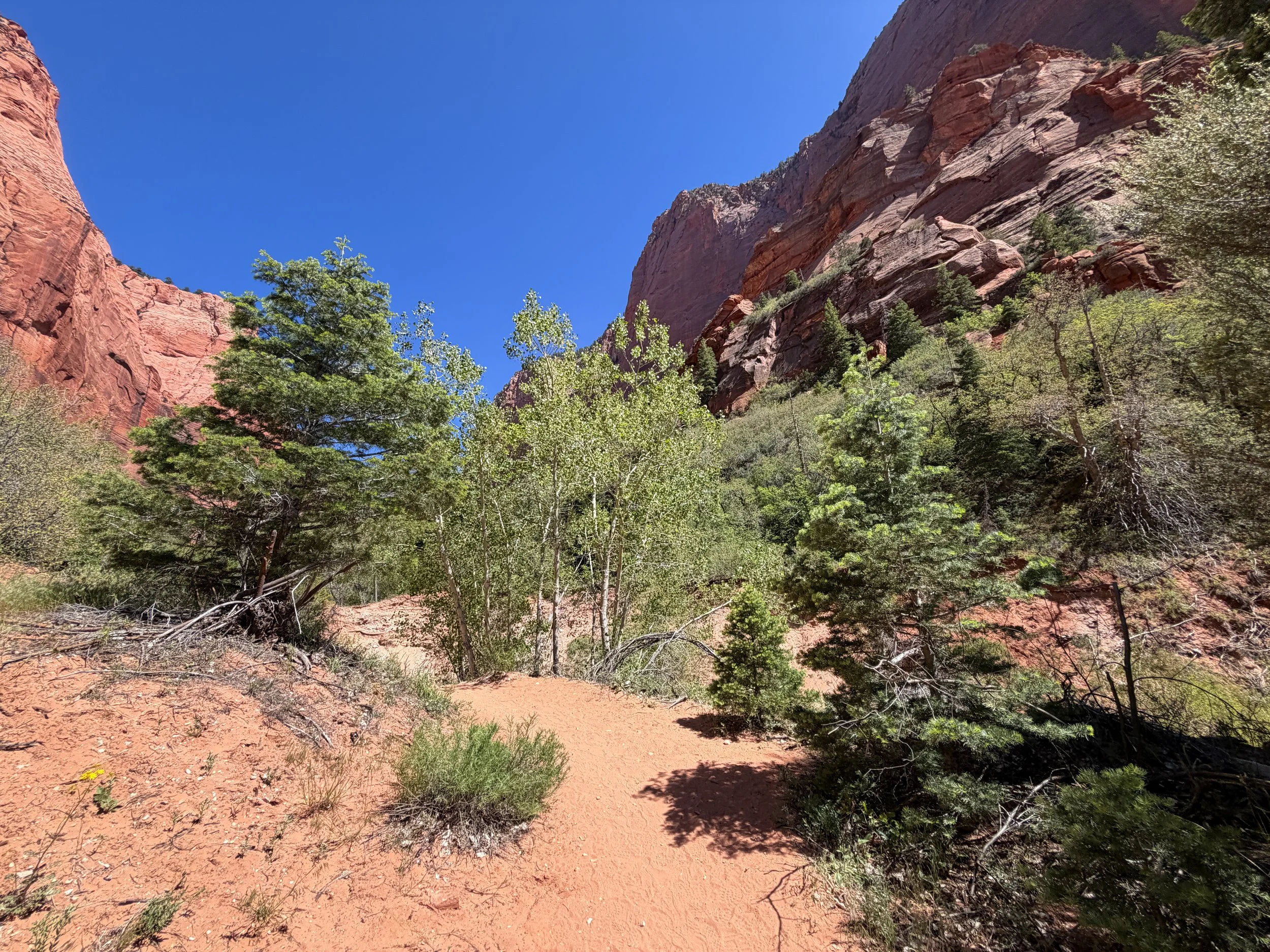 Taylor Creek Trail to Double Arch Alcove Zion National Park Utah
