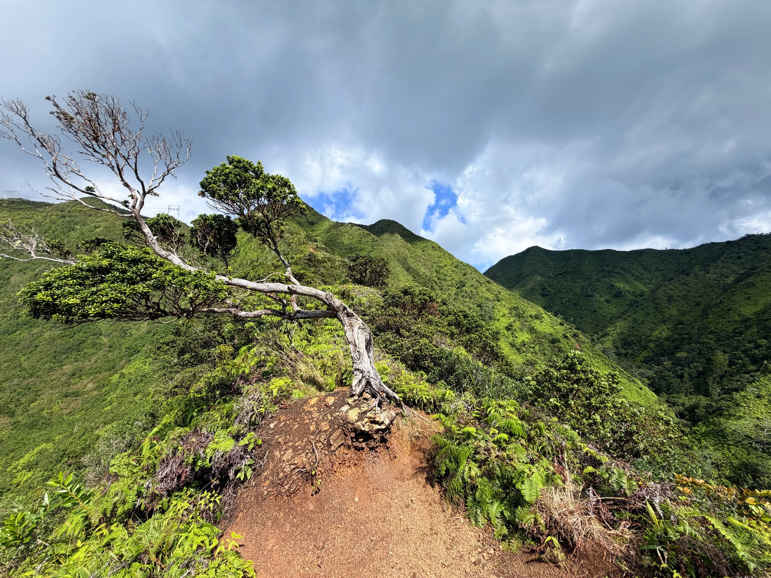 Kaau Crater Trail Oahu Hawaii