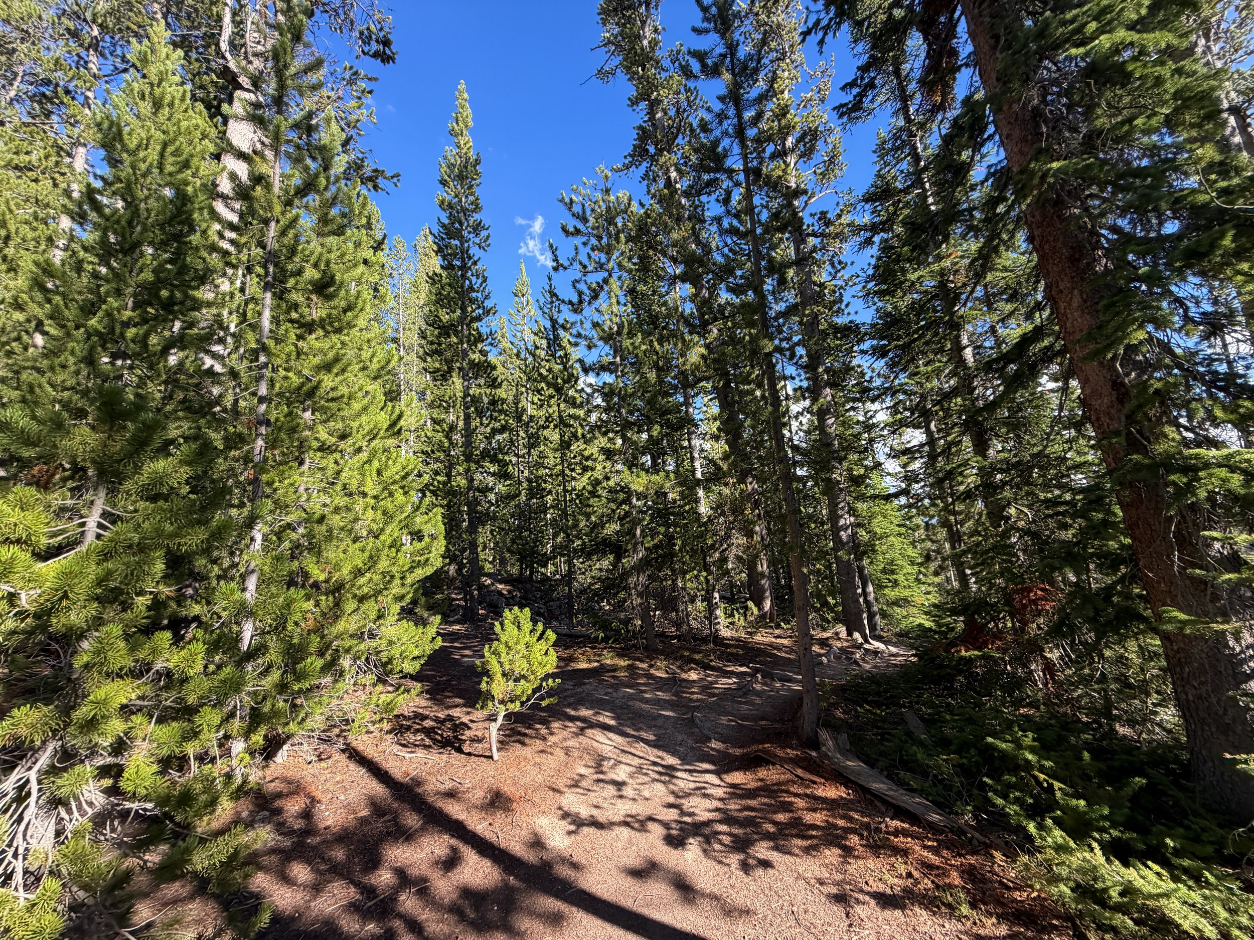 North Rim Trail Yellowstone National Park Wyoming