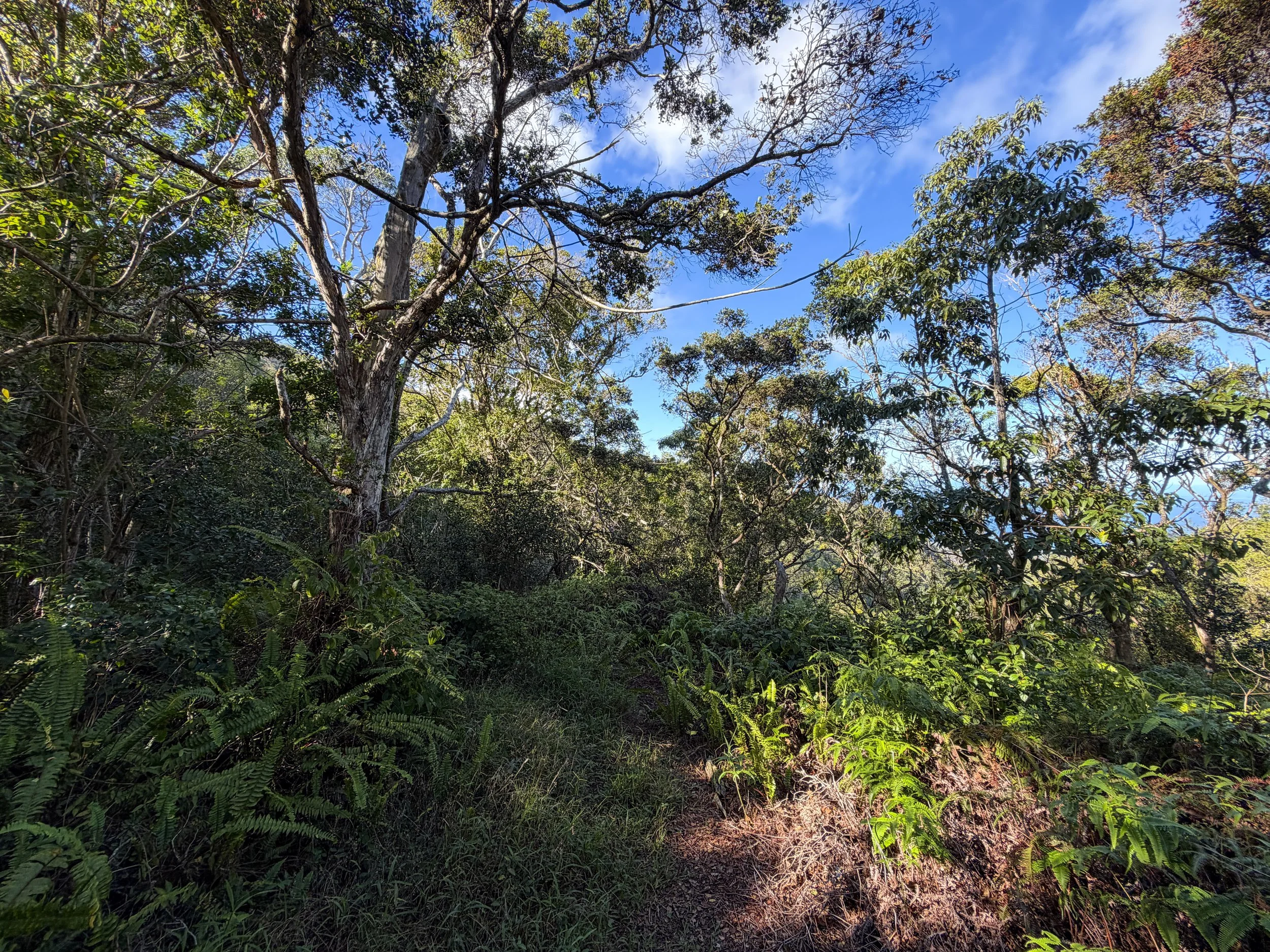 Mokuleia Trail Oahu Hawaii