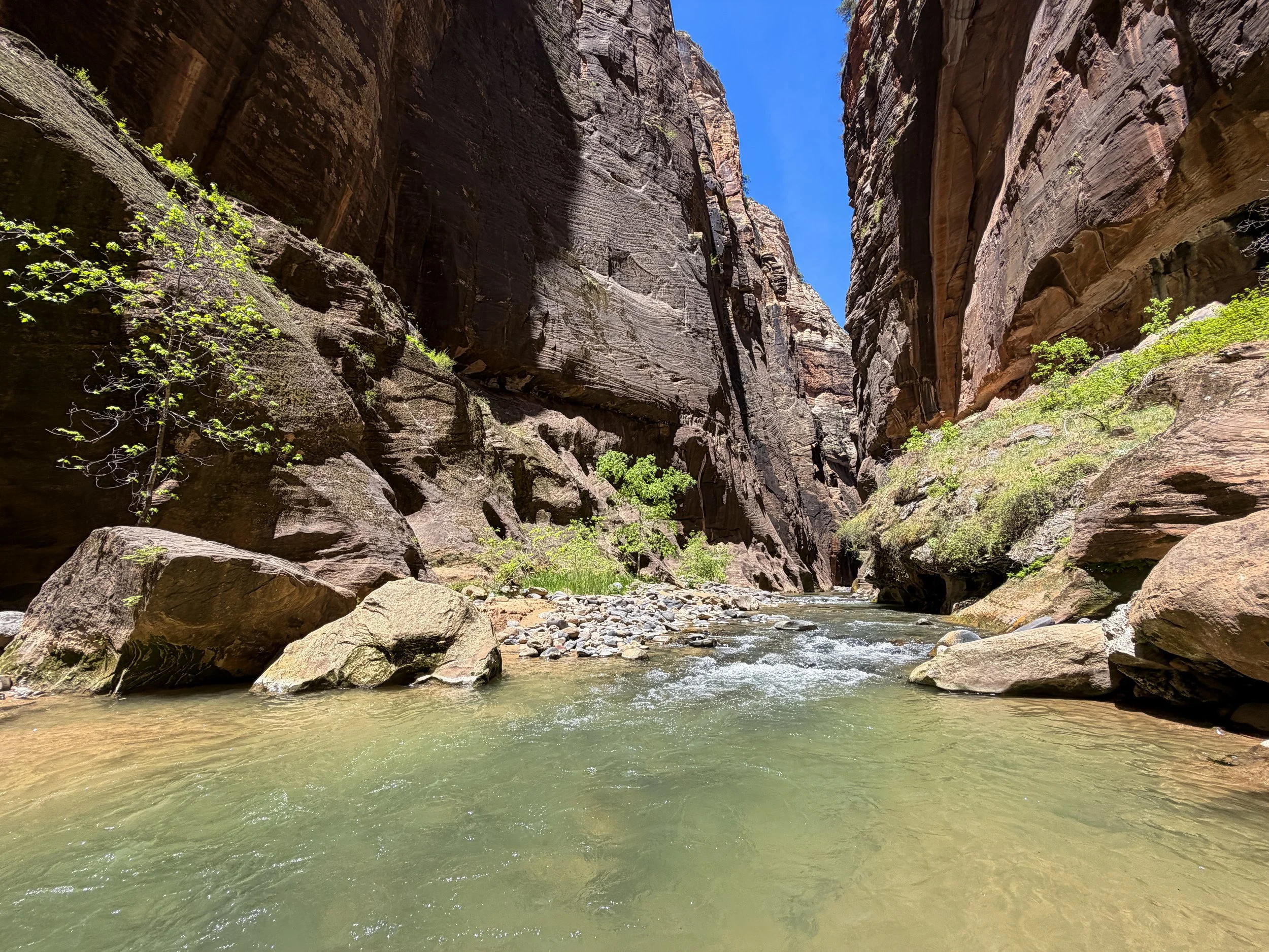 Wall Street Narrows Hike Zion National Park Utah