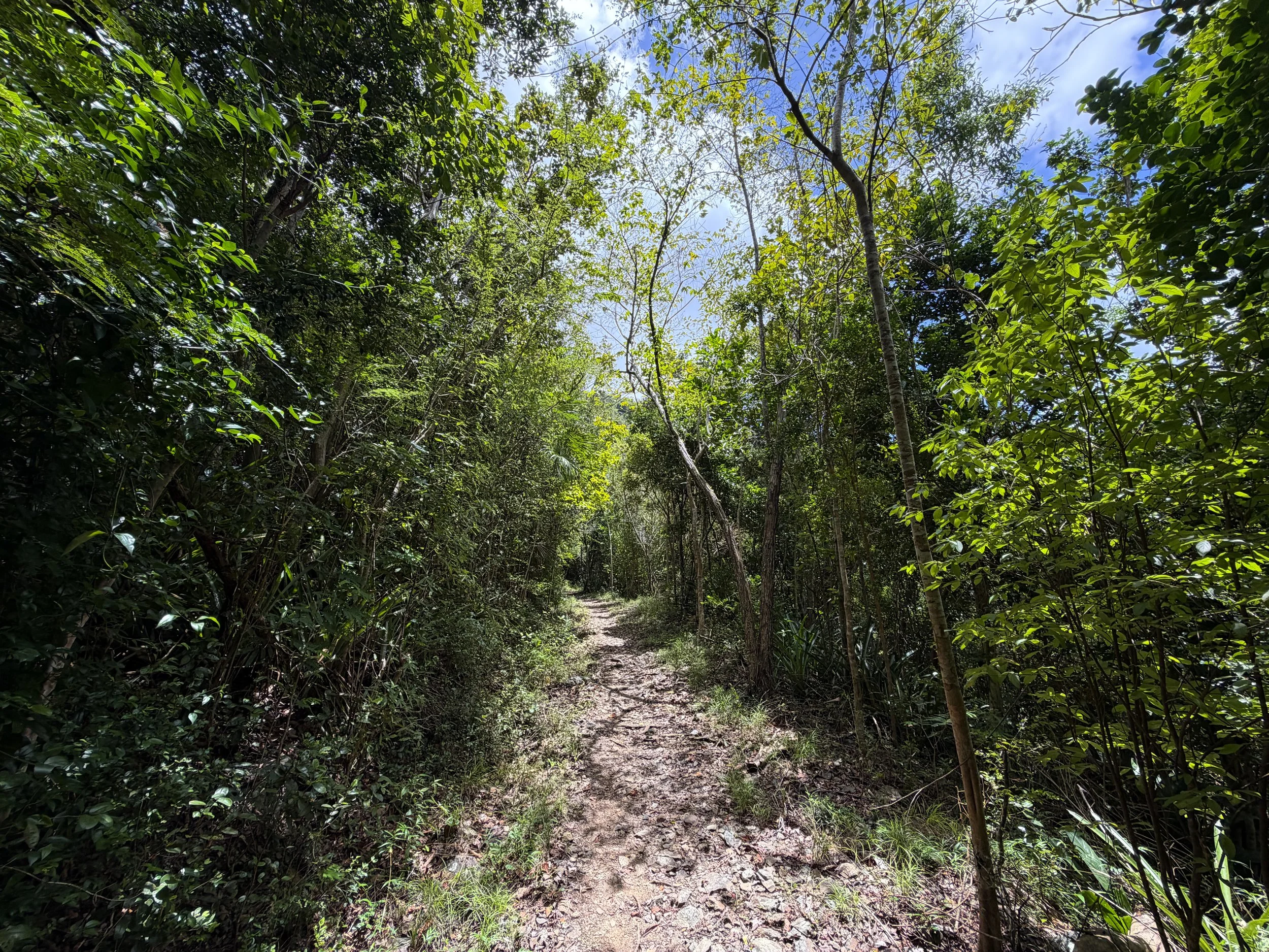 LEsperance Trail Virgin Islands National Park