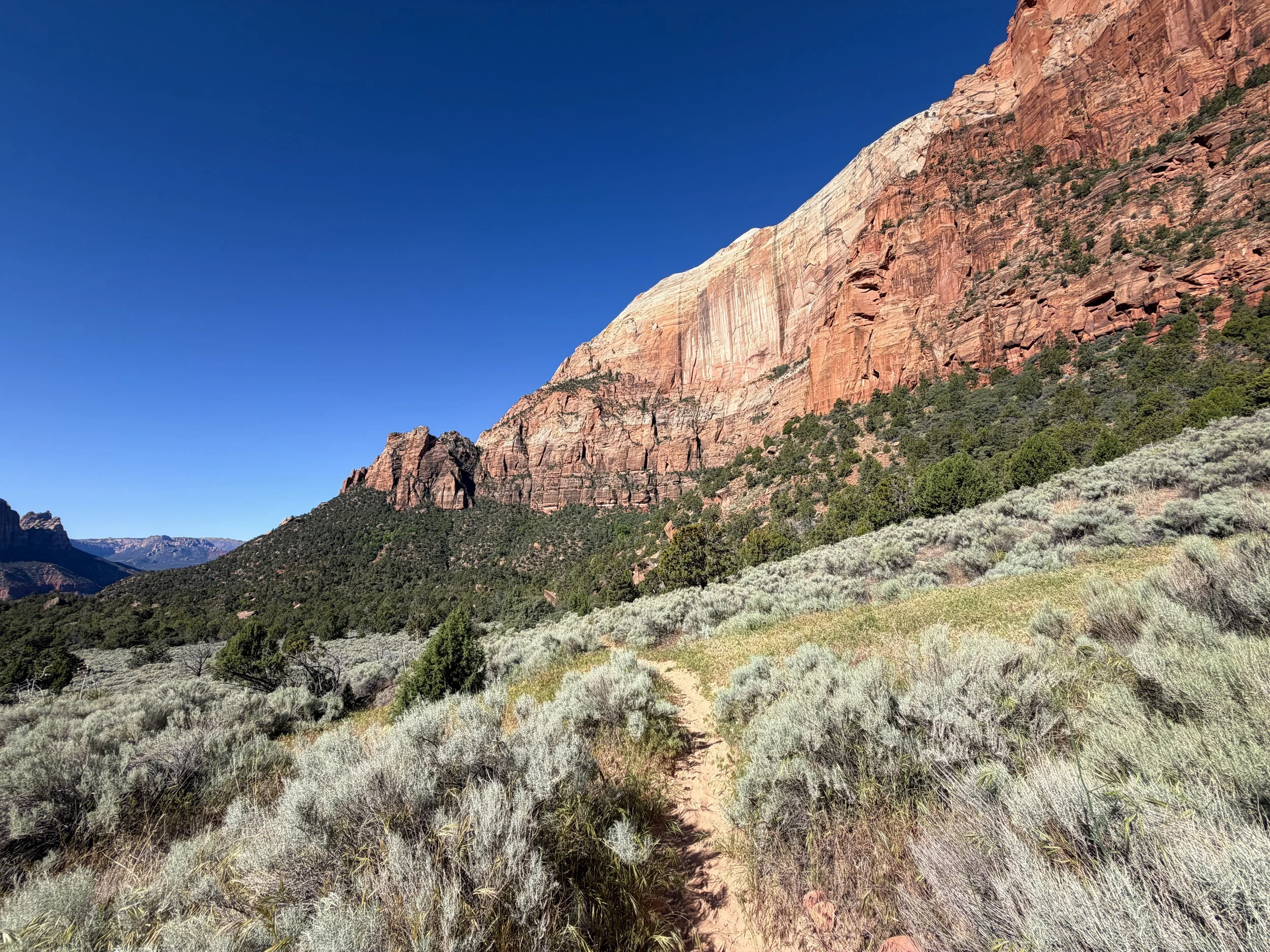 Sand Bench Loop Hike Zion National Park Utah