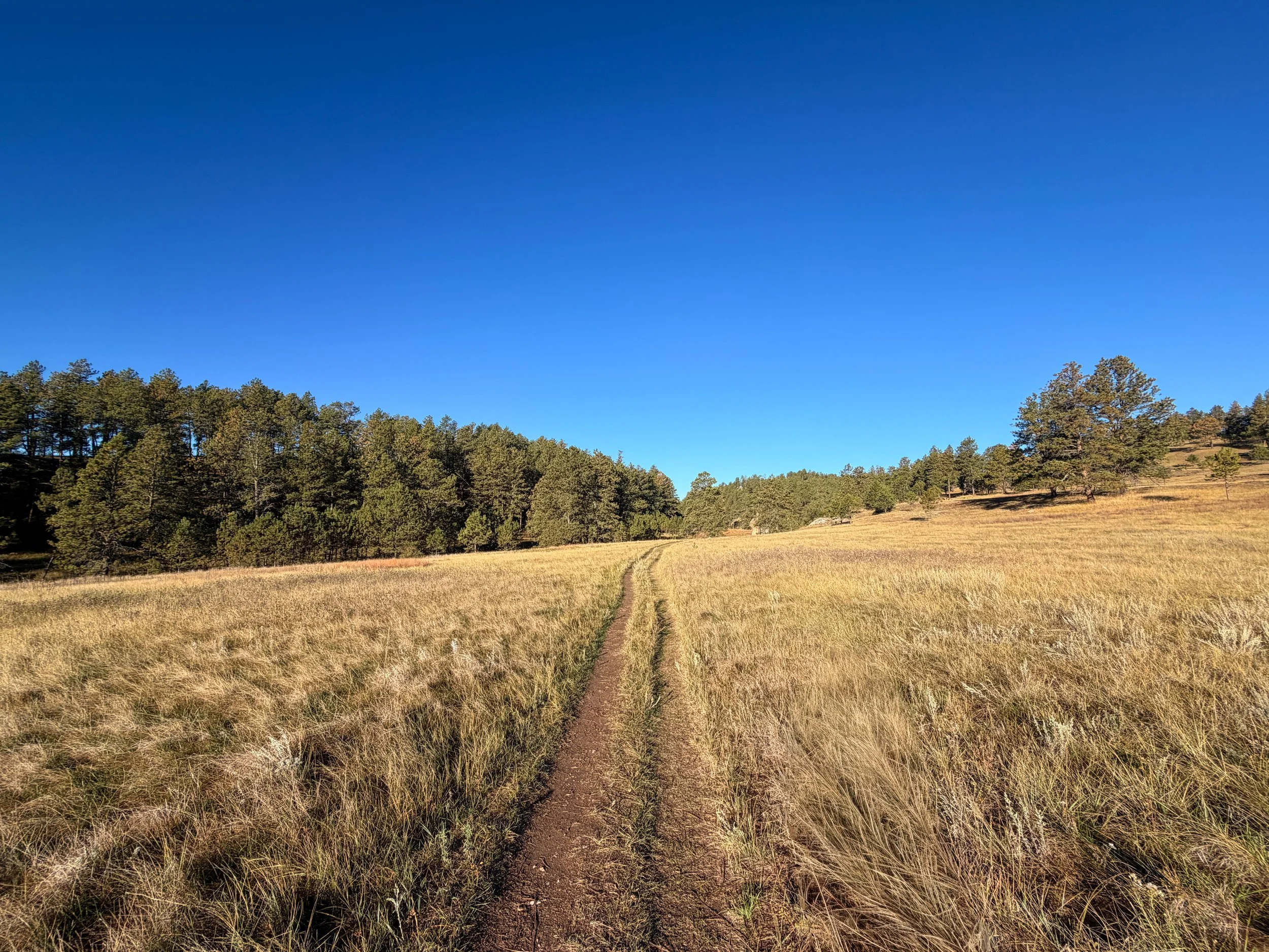 Cold Brook Canyon Hike Wind Cave National Park South Dakota