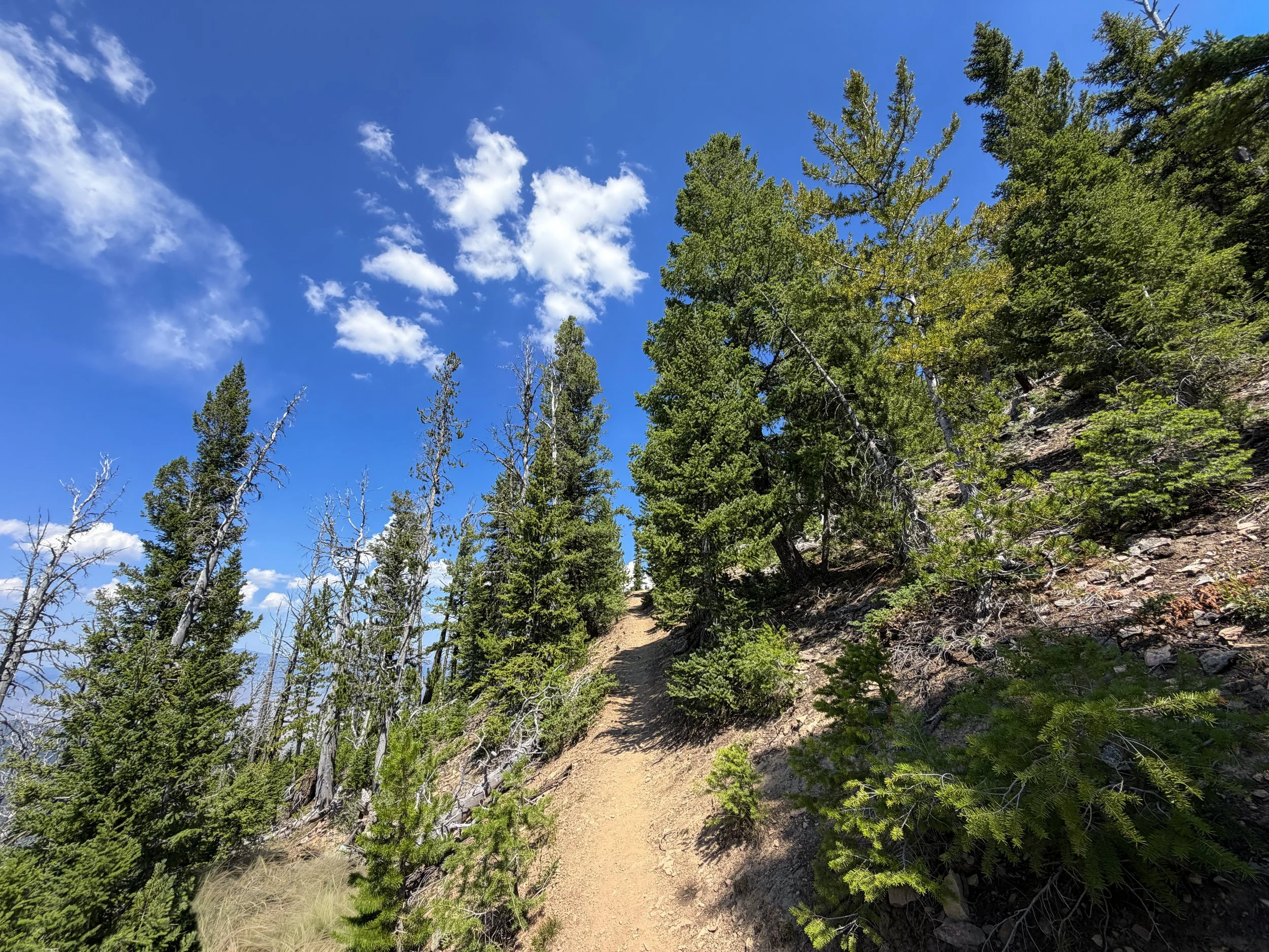 Bunsen Peak Trail Yellowstone National Park Wyoming