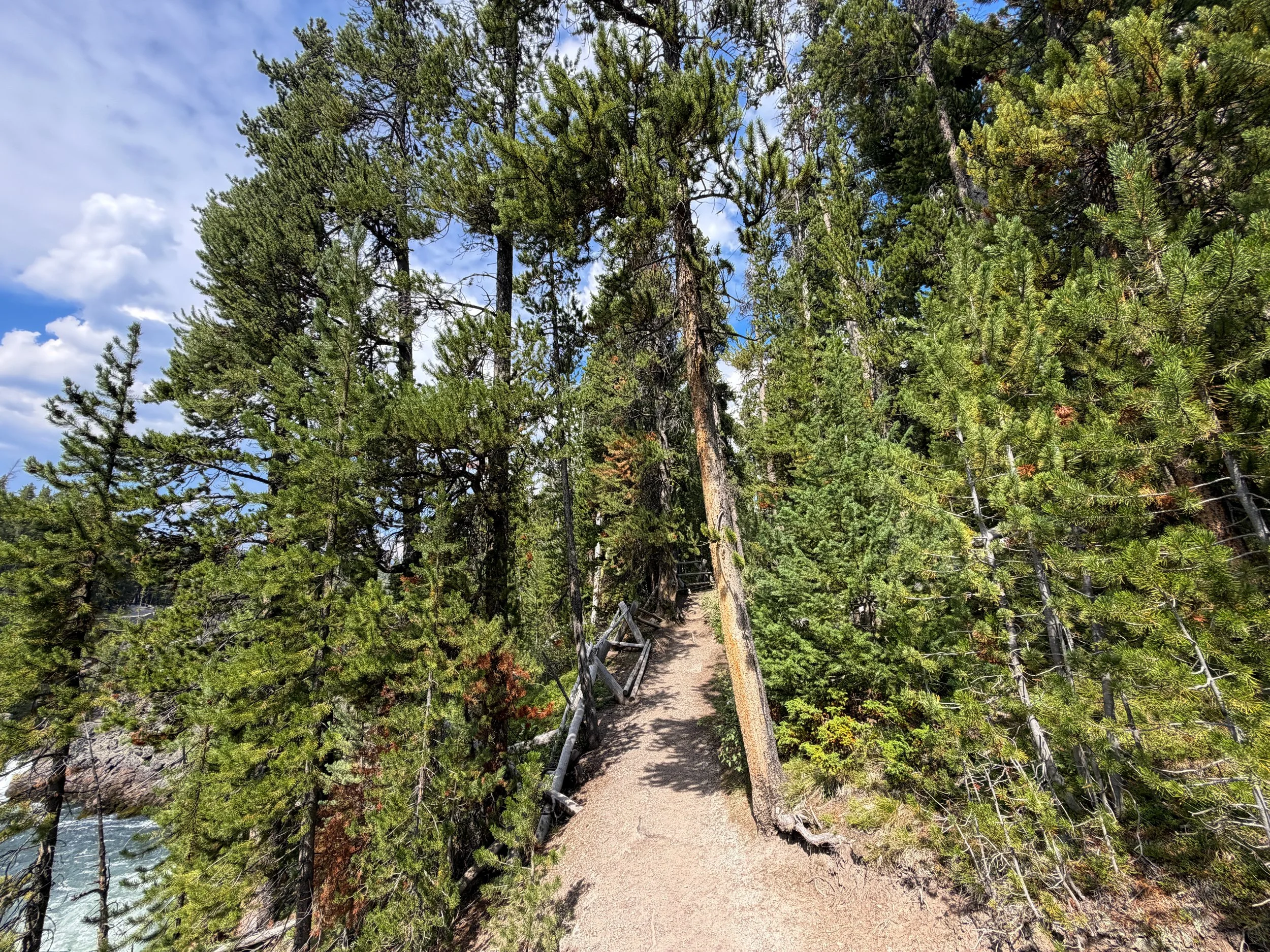 South Rim Trail Yellowstone National Park Wyoming