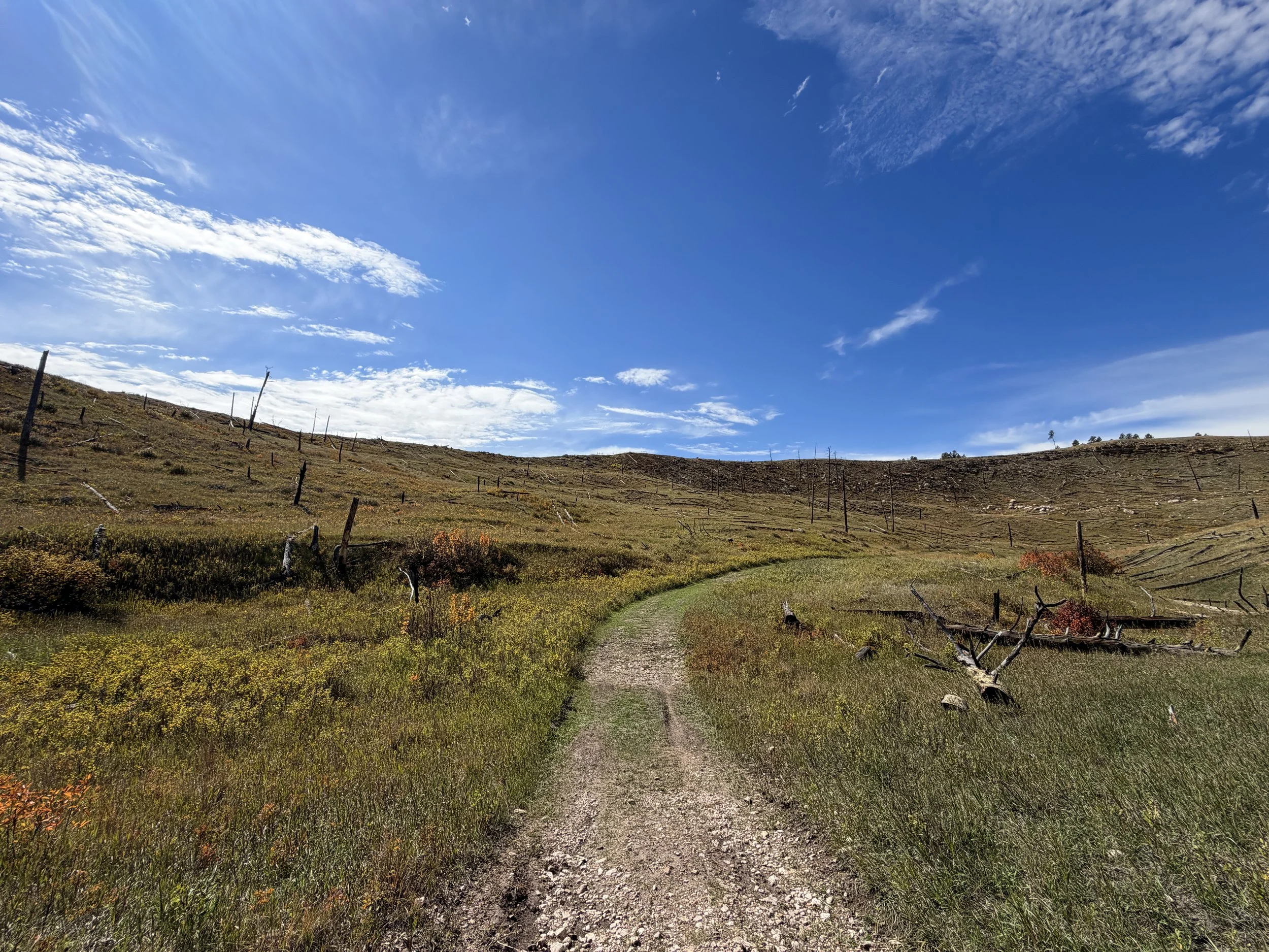 Canyons Loop Trail Jewel Cave National Monument Black Hills South Dakota