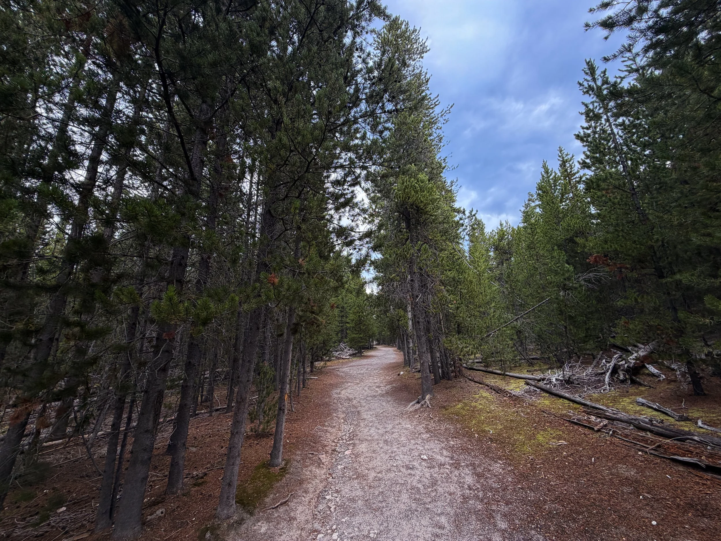 Norris Geyser Basin Trail Yellowstone National Park Wyoming
