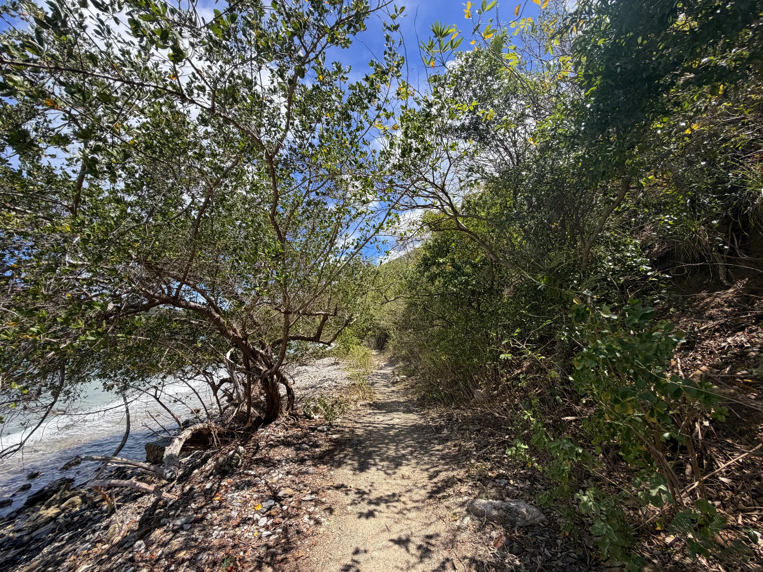 Leinster Bay Trail Virgin Islands National Park