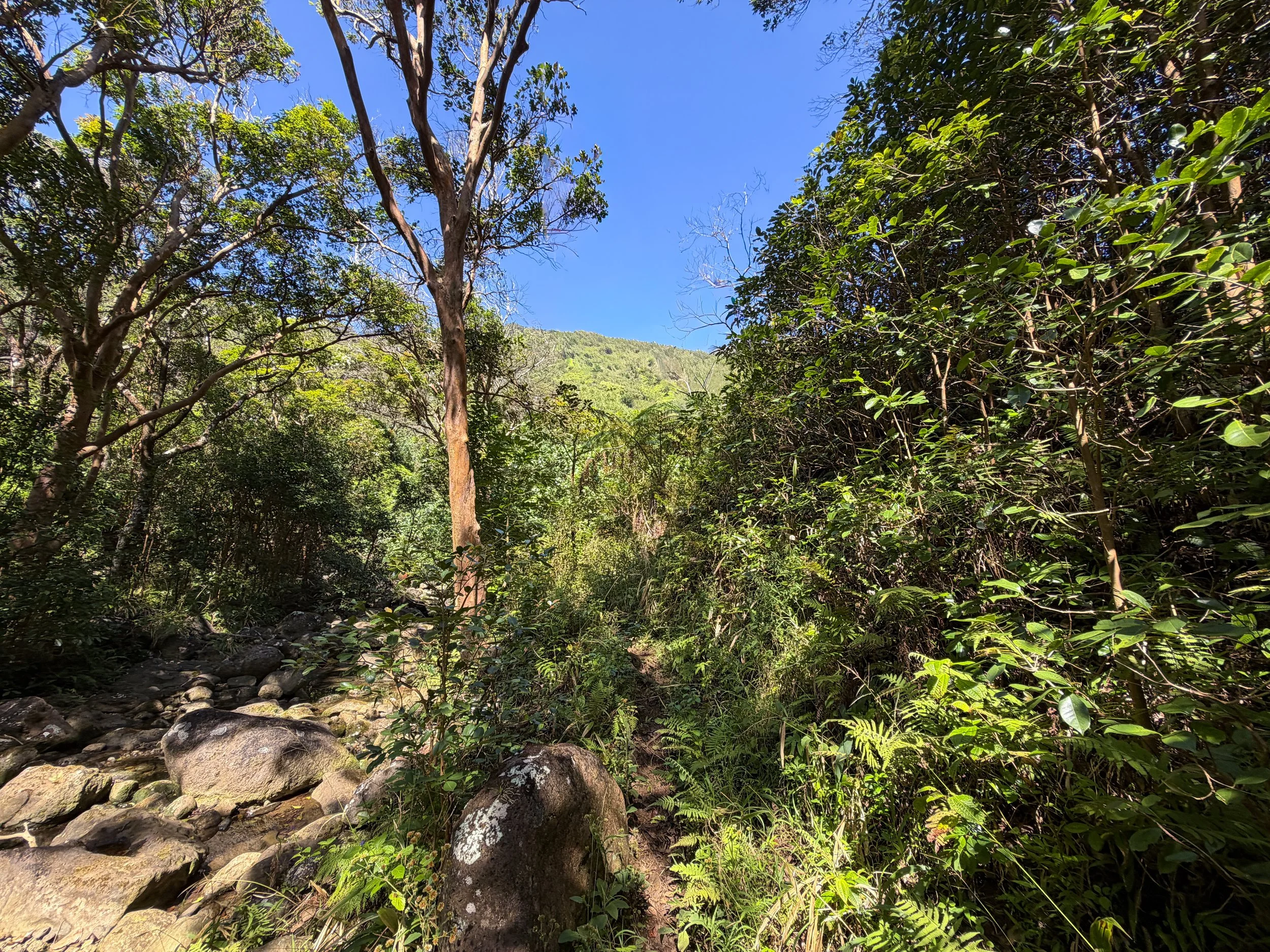 Kulanaahane Hike Oahu Hawaii