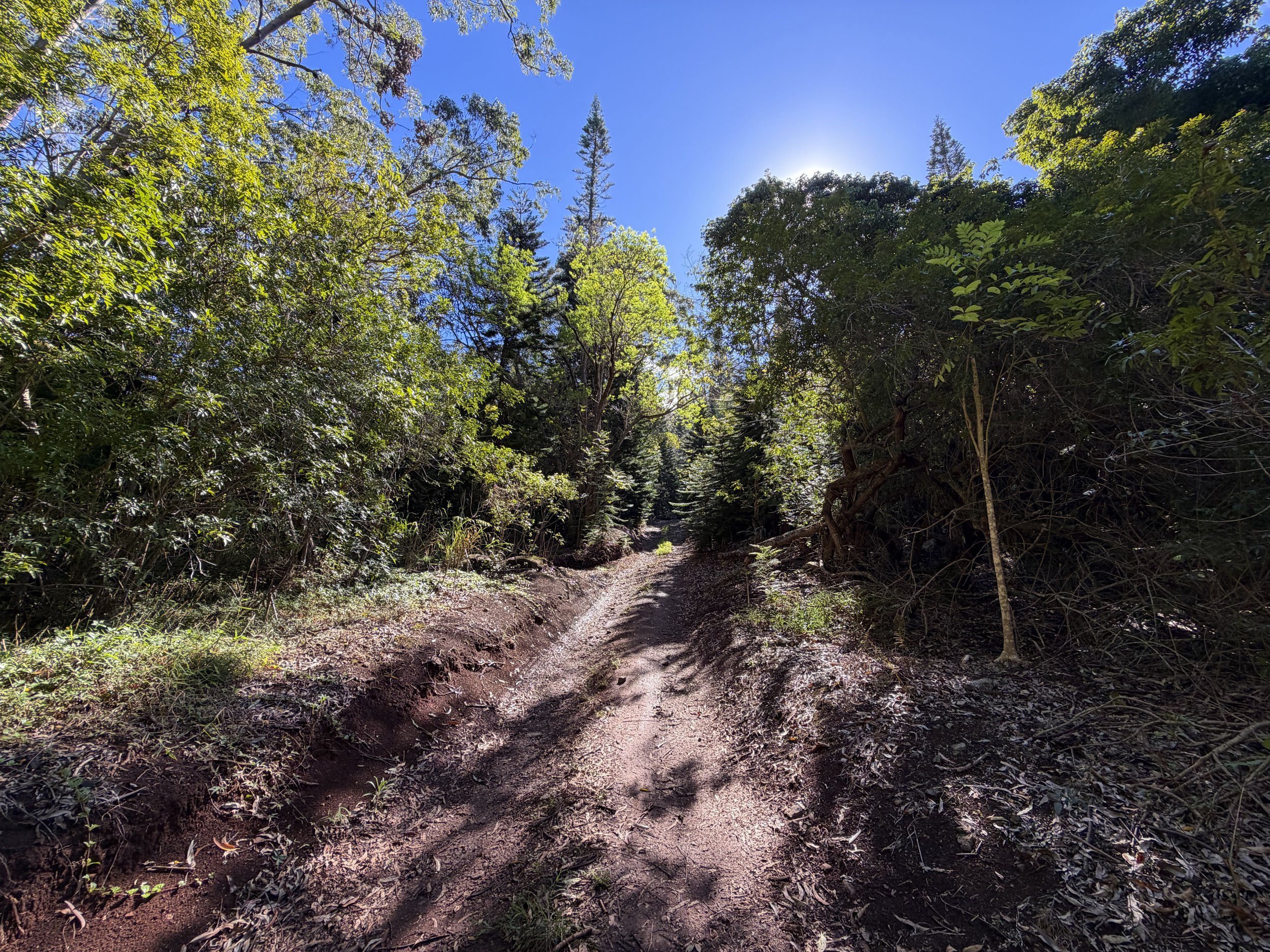 Peacock Flats Campground to Mokuleia Trail Oahu Hawaii