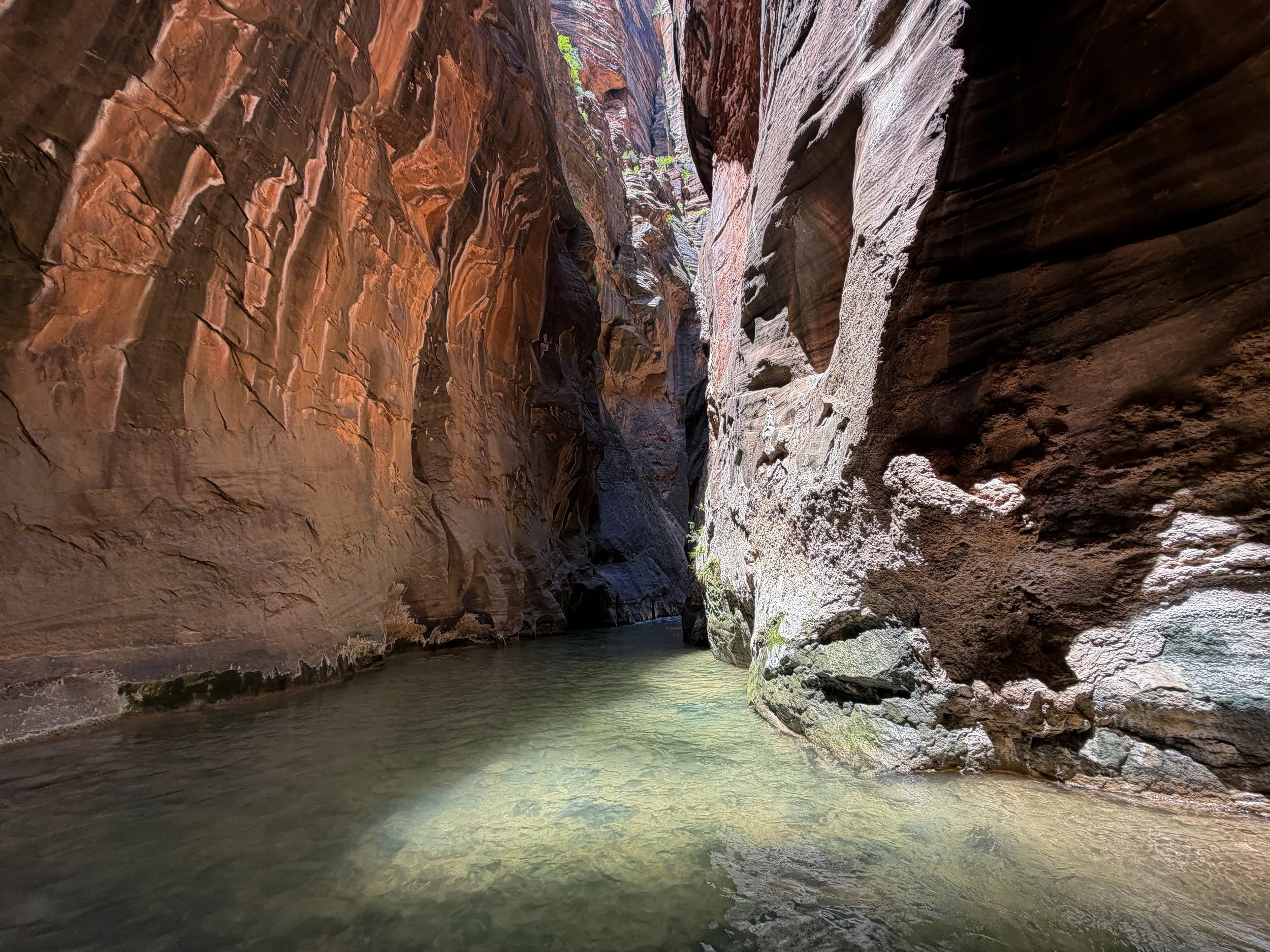 Wall Street Narrows Hike Zion National Park Utah