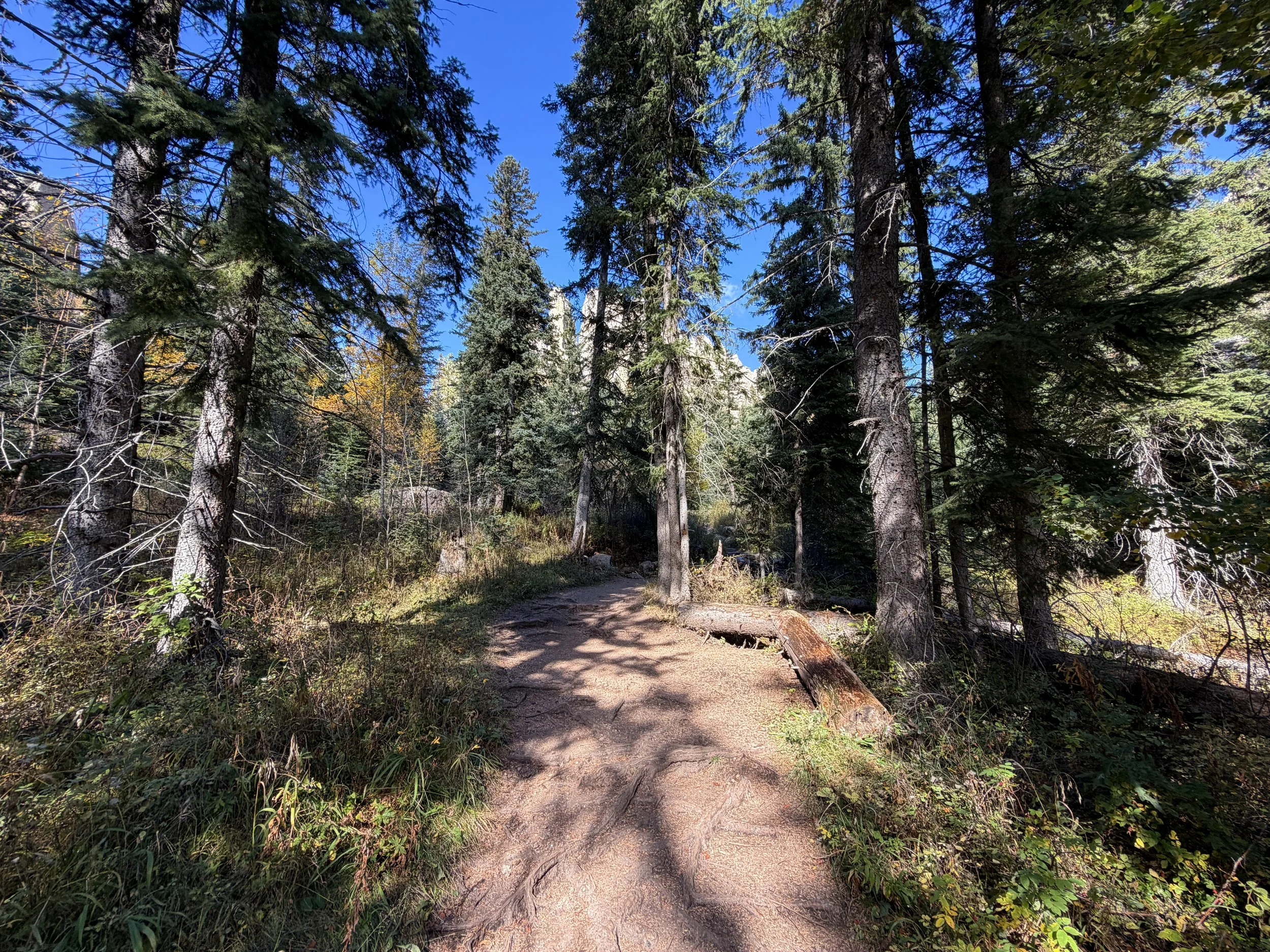 Cathedral Spires Hike Custer State Park Black Hills South Dakota