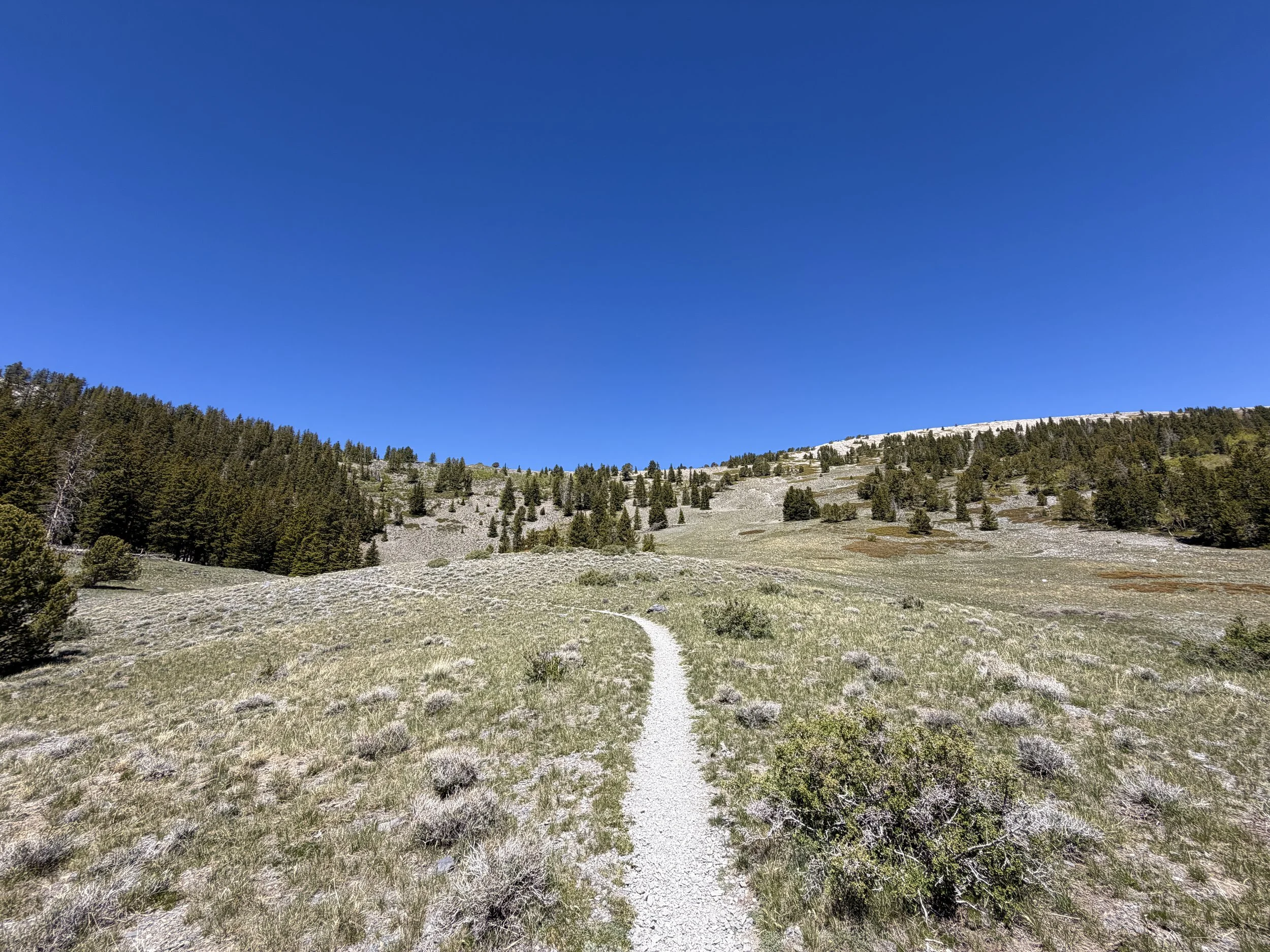 Wheeler Peak Hike Great Basin National Park Nevada