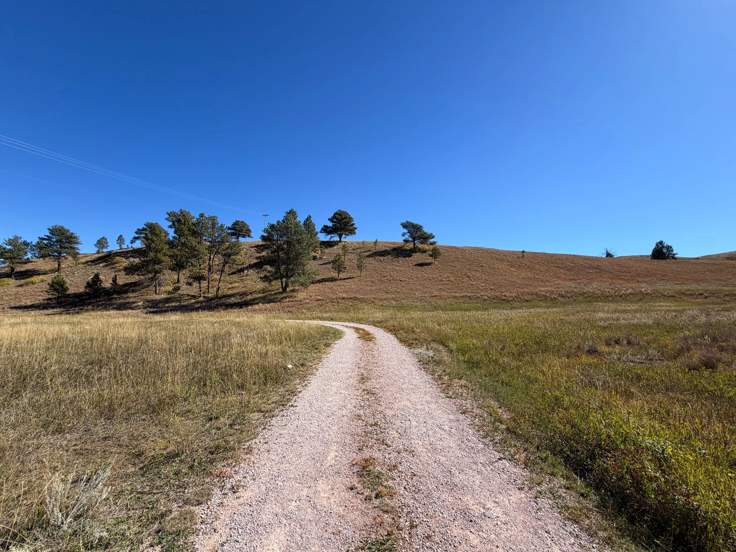Wind Cave Canyon Trail Wind Cave National Park South Dakota